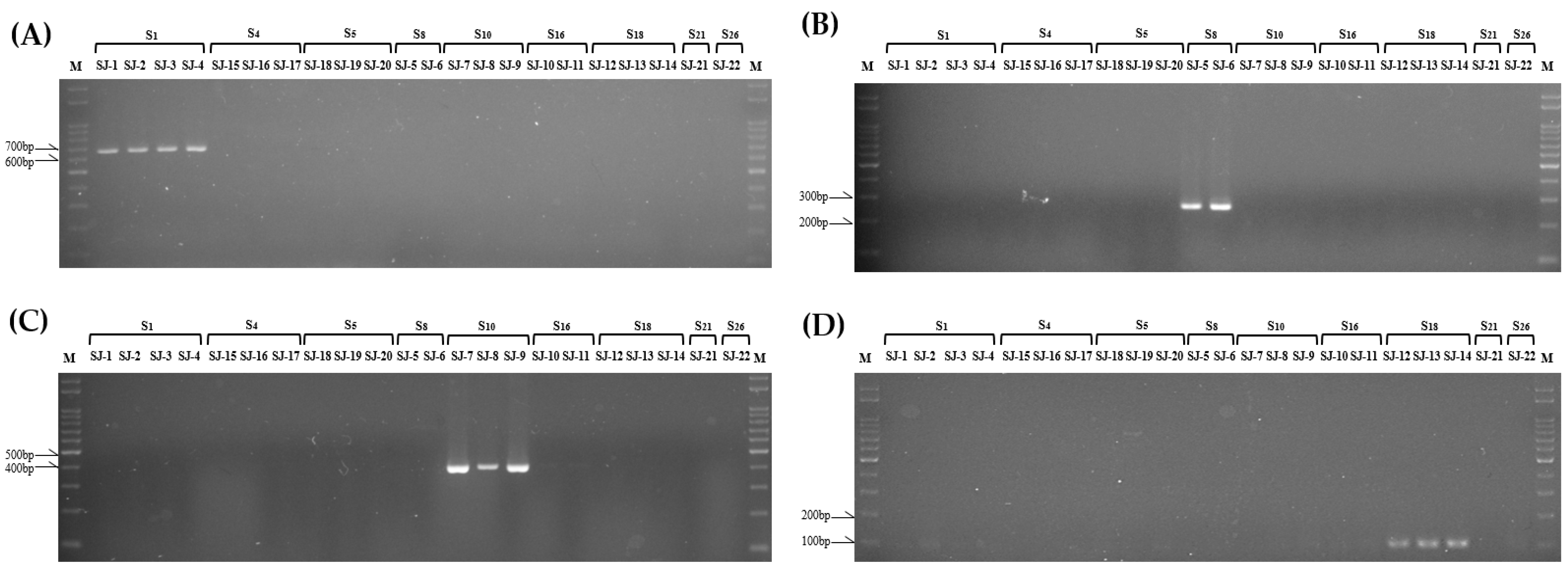 Plants 13 00725 g003 Plants 13 00725 g003