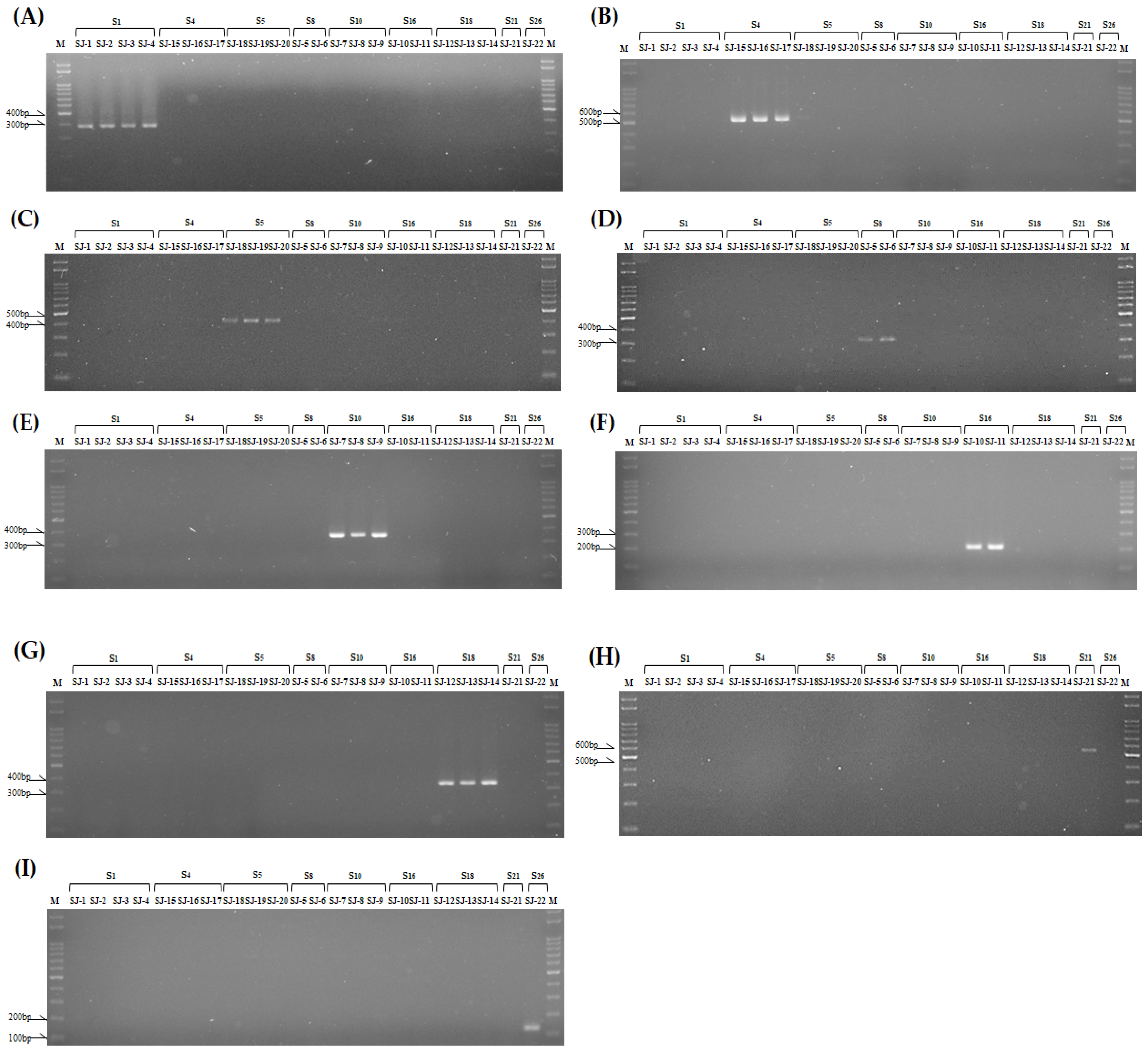 Plants 13 00725 g004 Plants 13 00725 g004