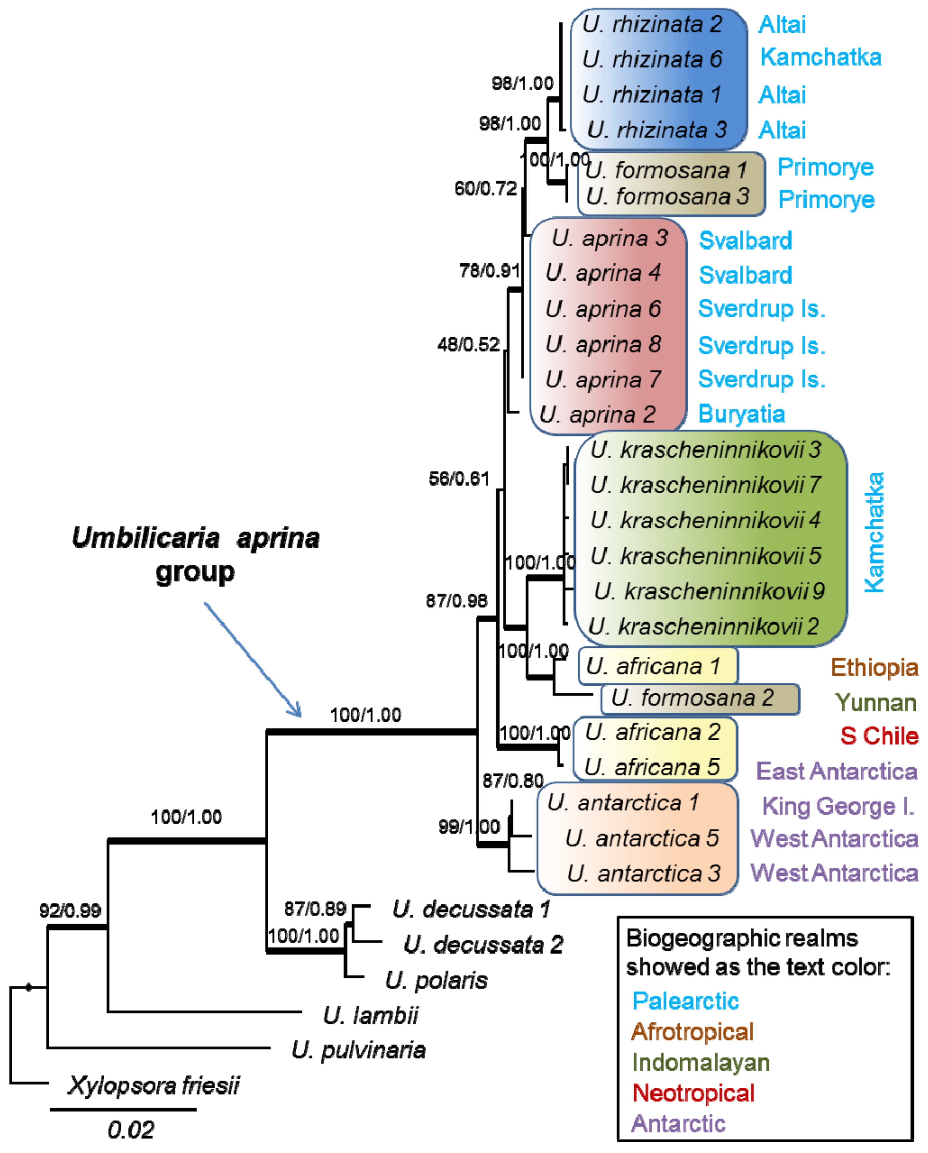 Plants 13 00729 g001