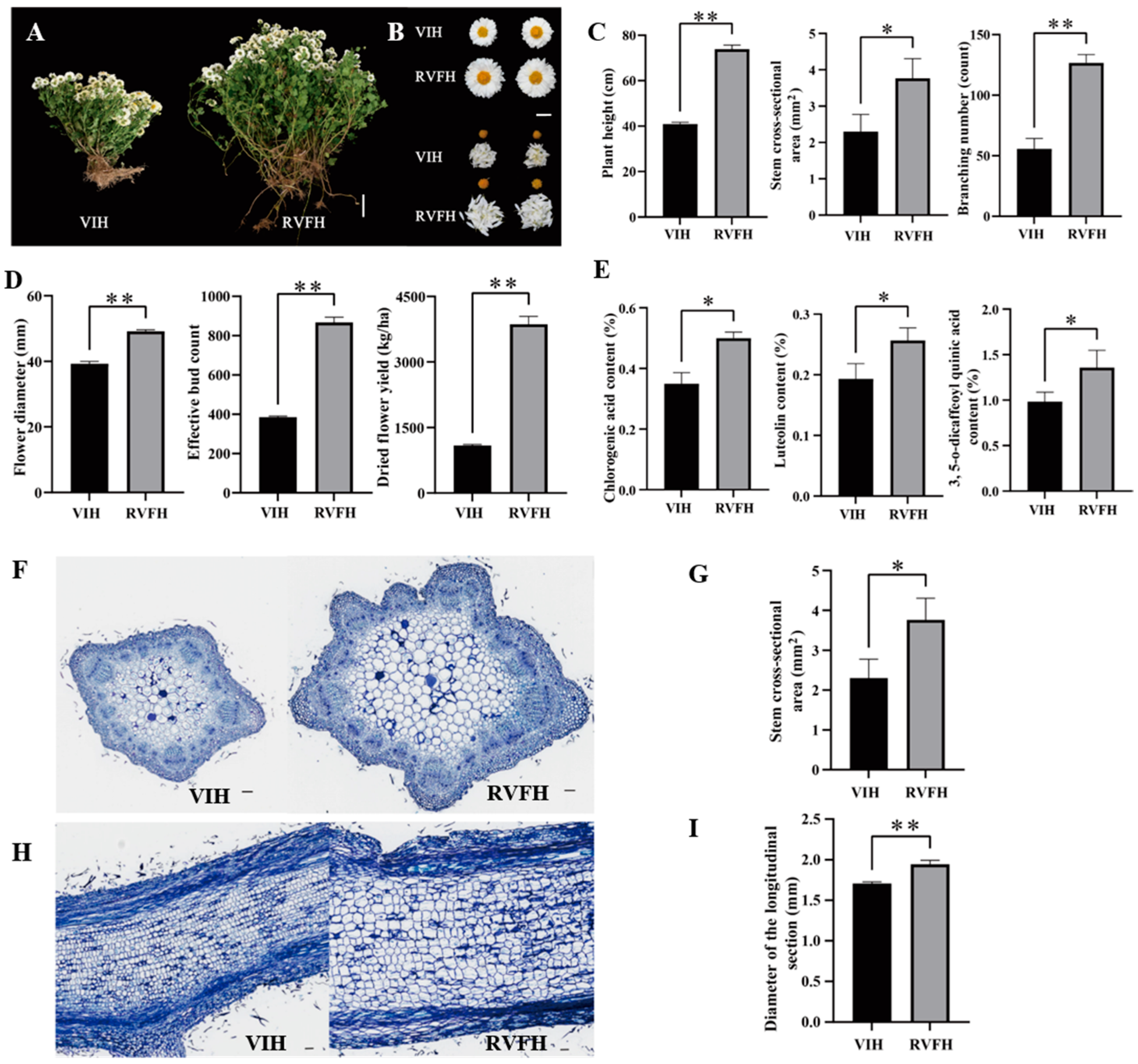 Plants 13 00732 g002