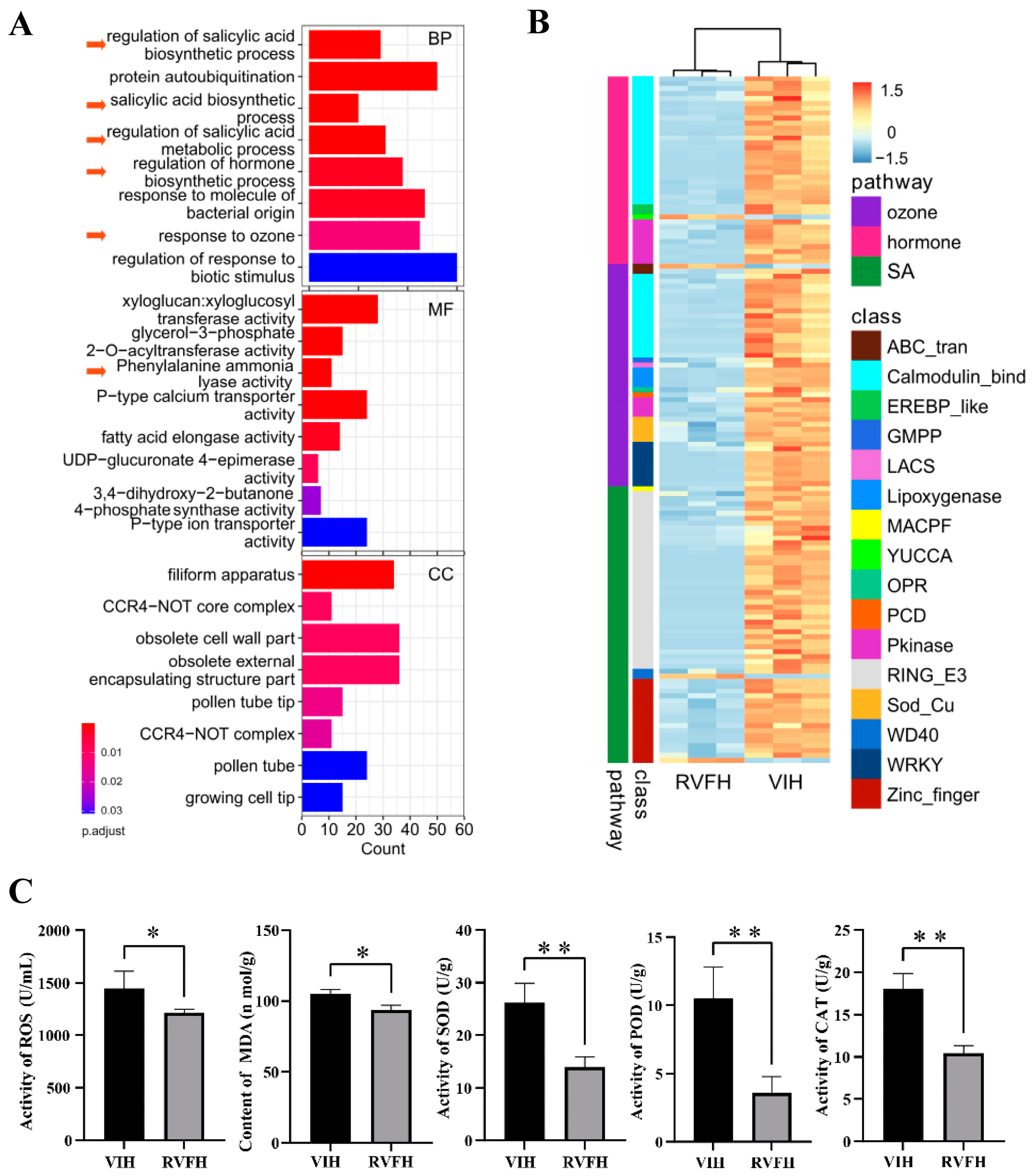 Plants 13 00732 g004