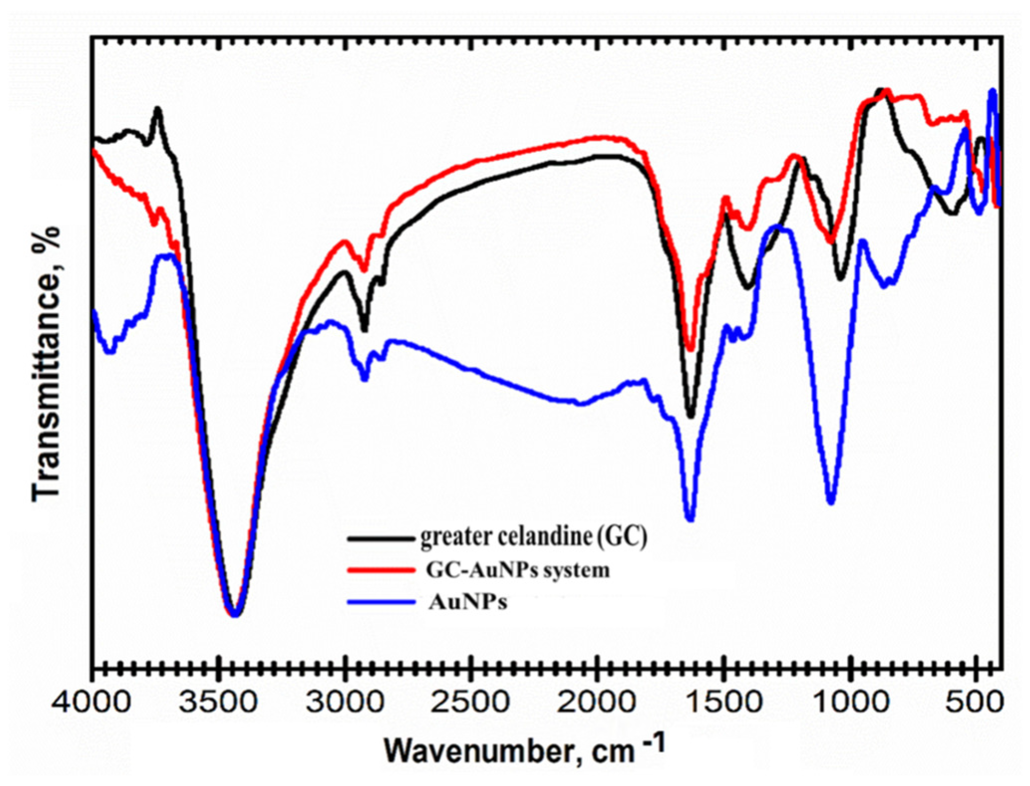 Plants 13 00734 g002