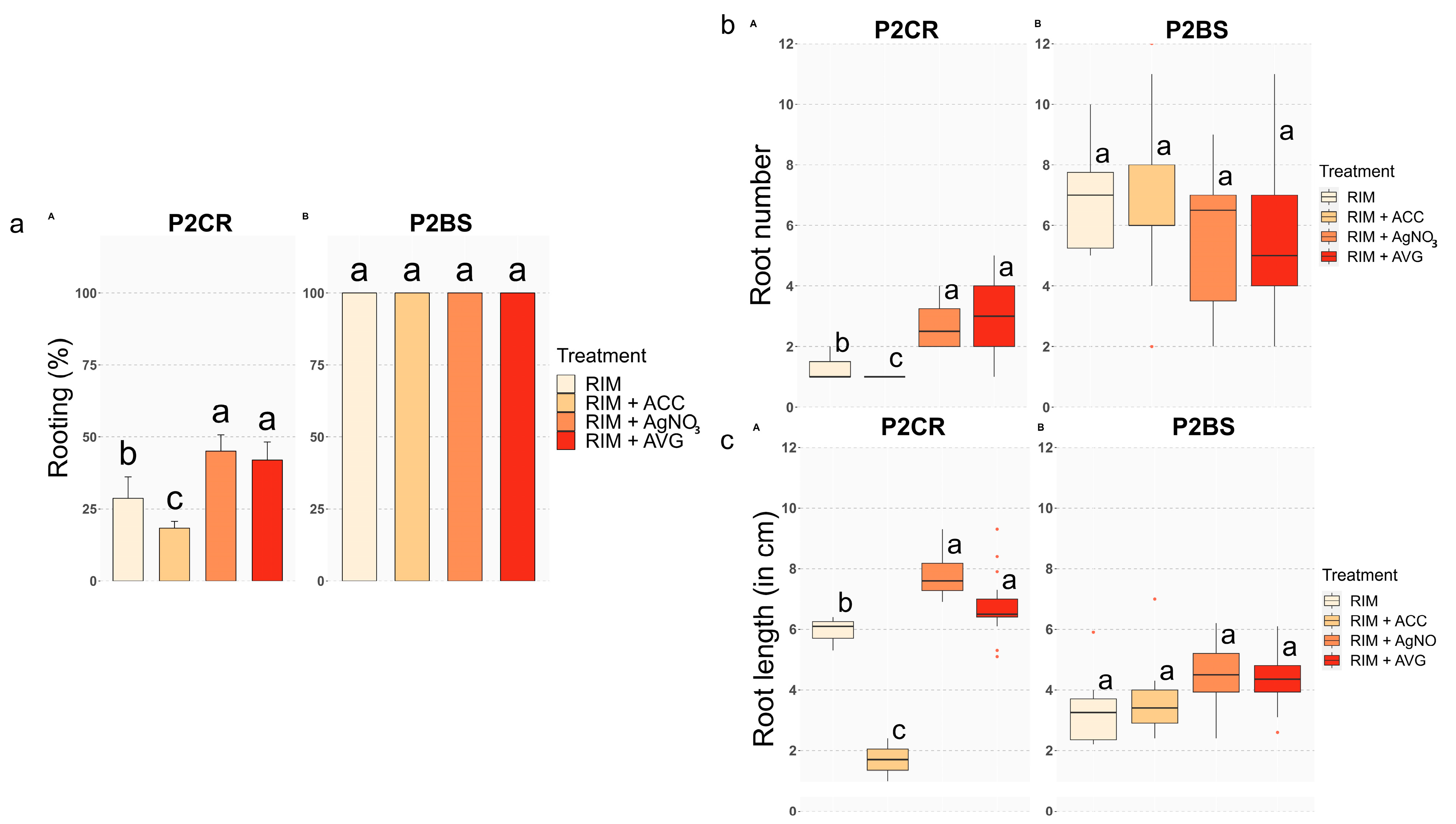 Plants 13 00738 g002