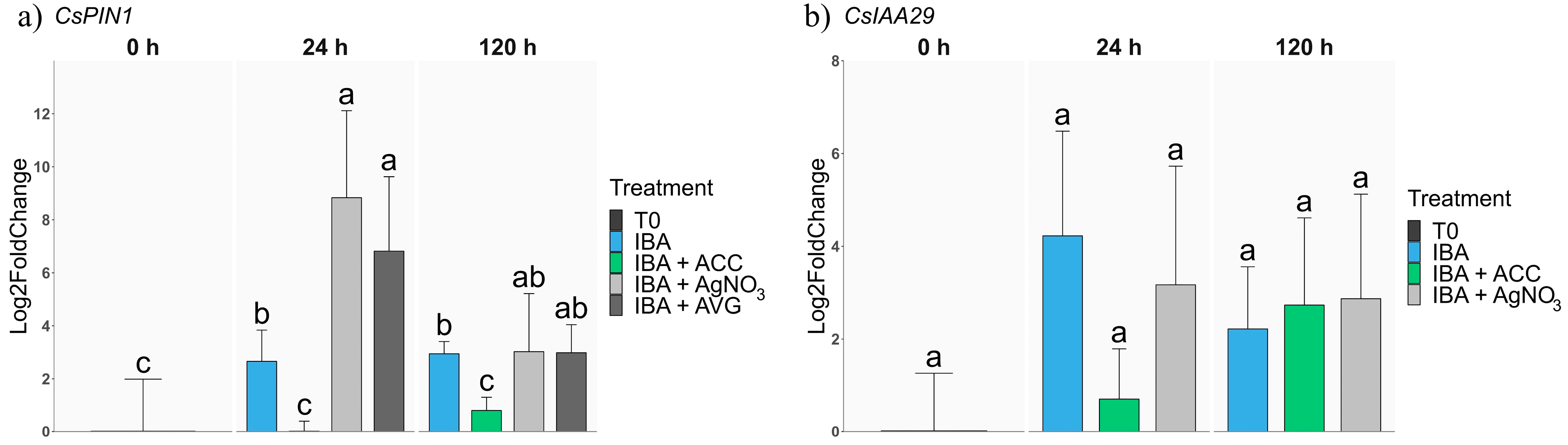Plants 13 00738 g004