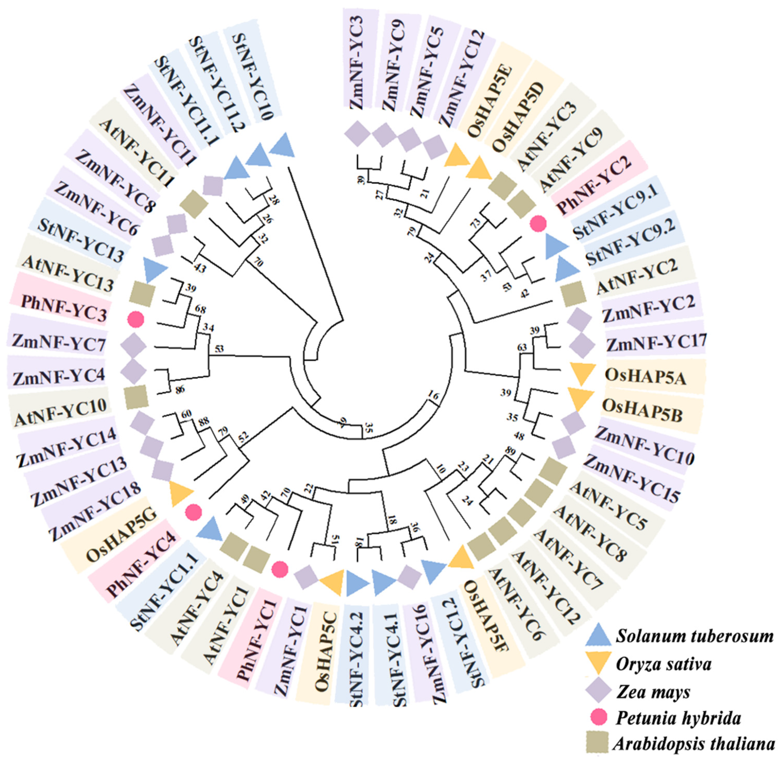 Plants 13 00742 g002
