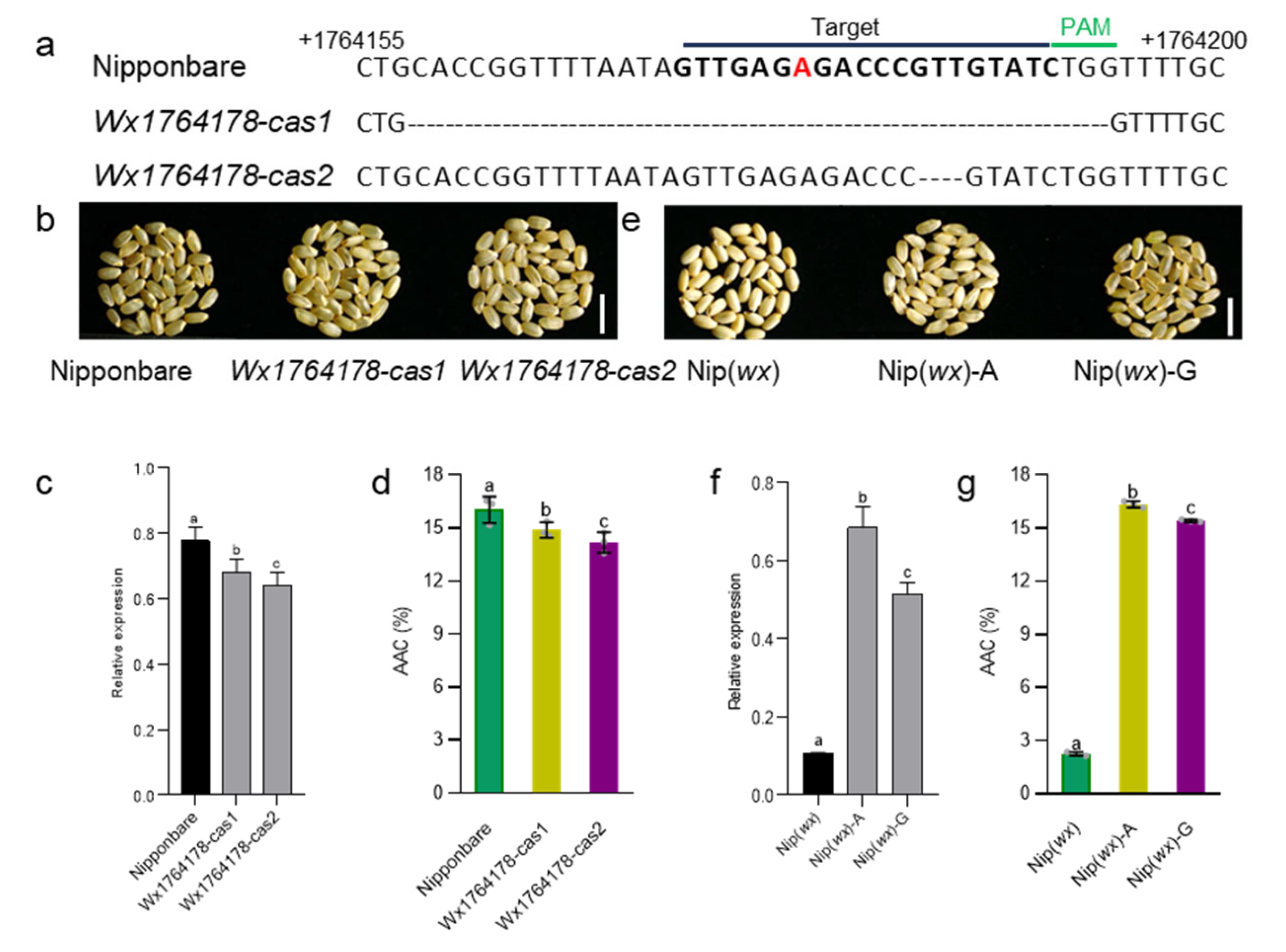 Plants 13 00745 g002