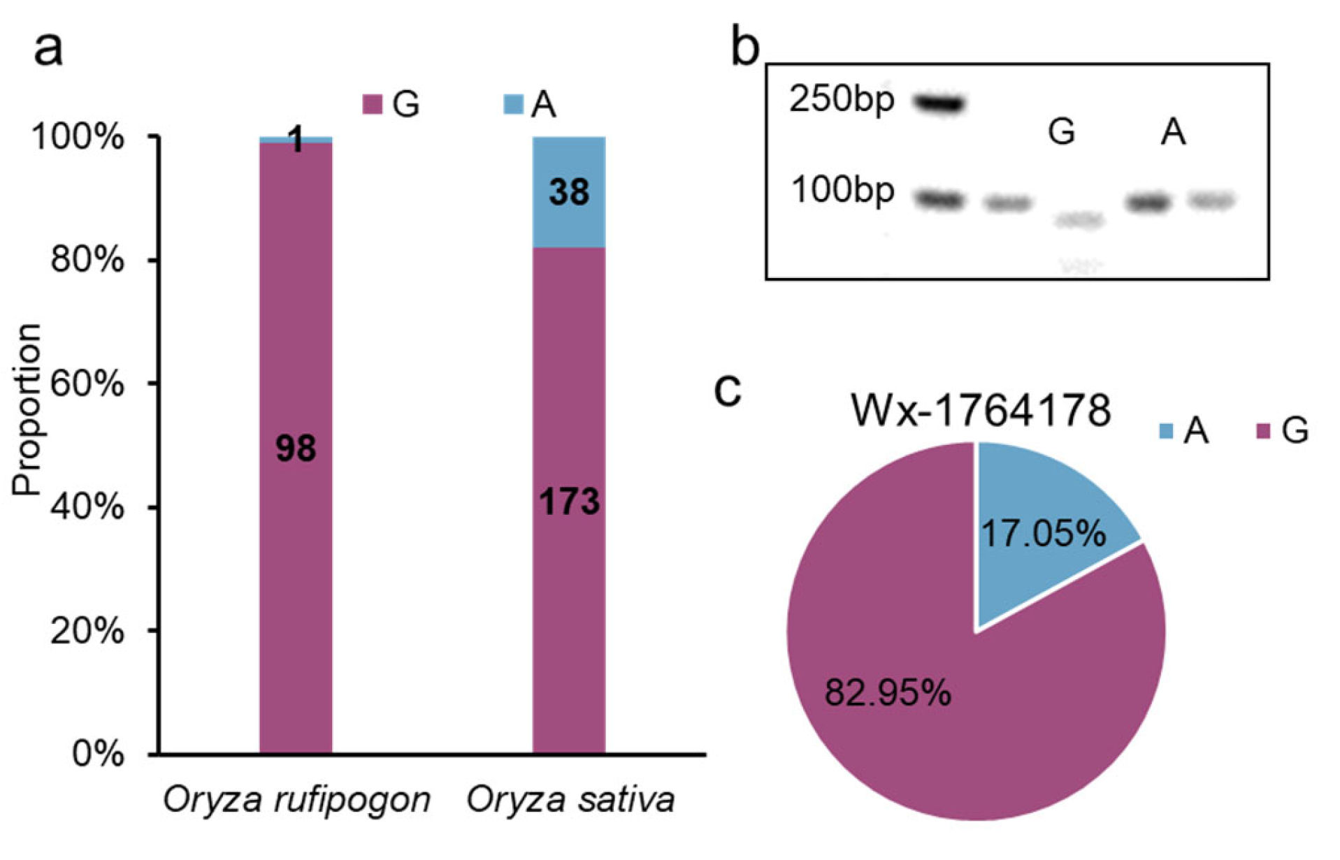 Plants 13 00745 g005