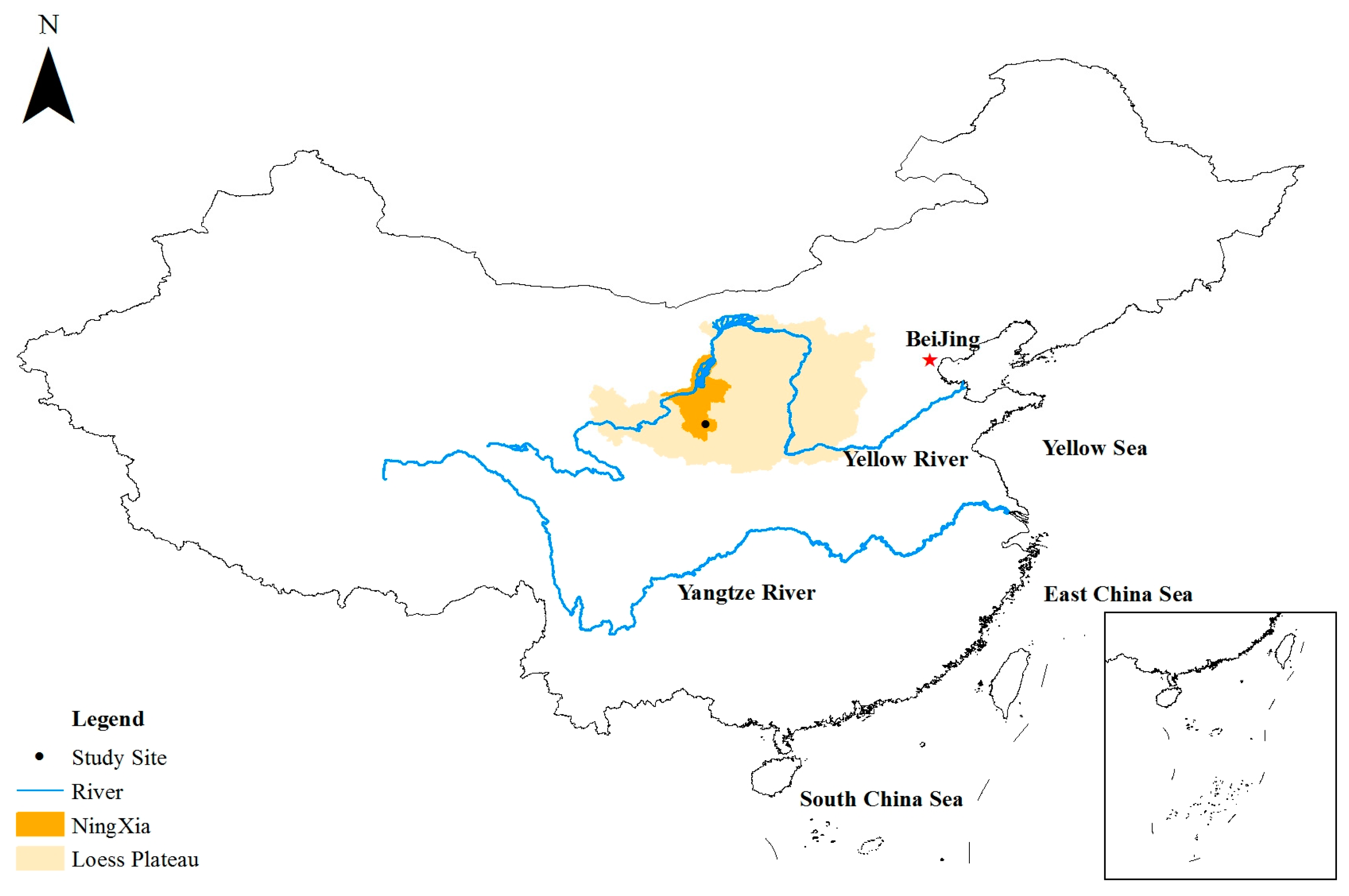 Plants 13 00753 g004