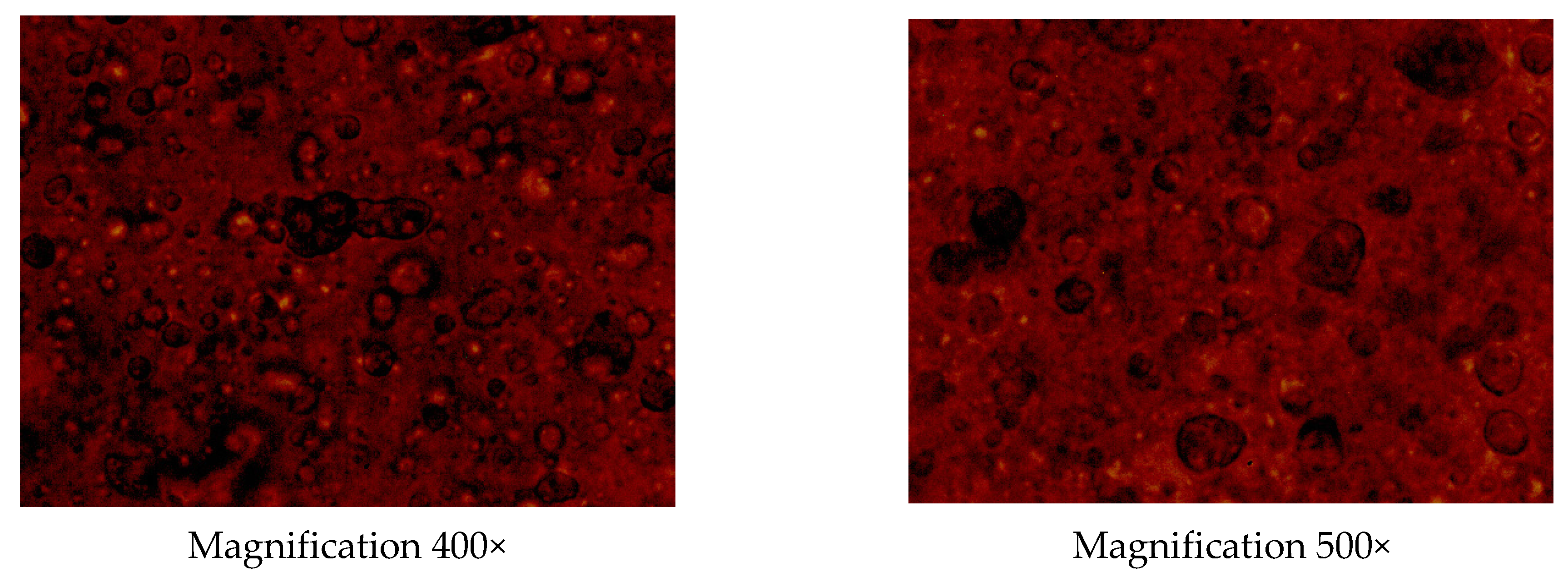 Plants 13 00754 g002b