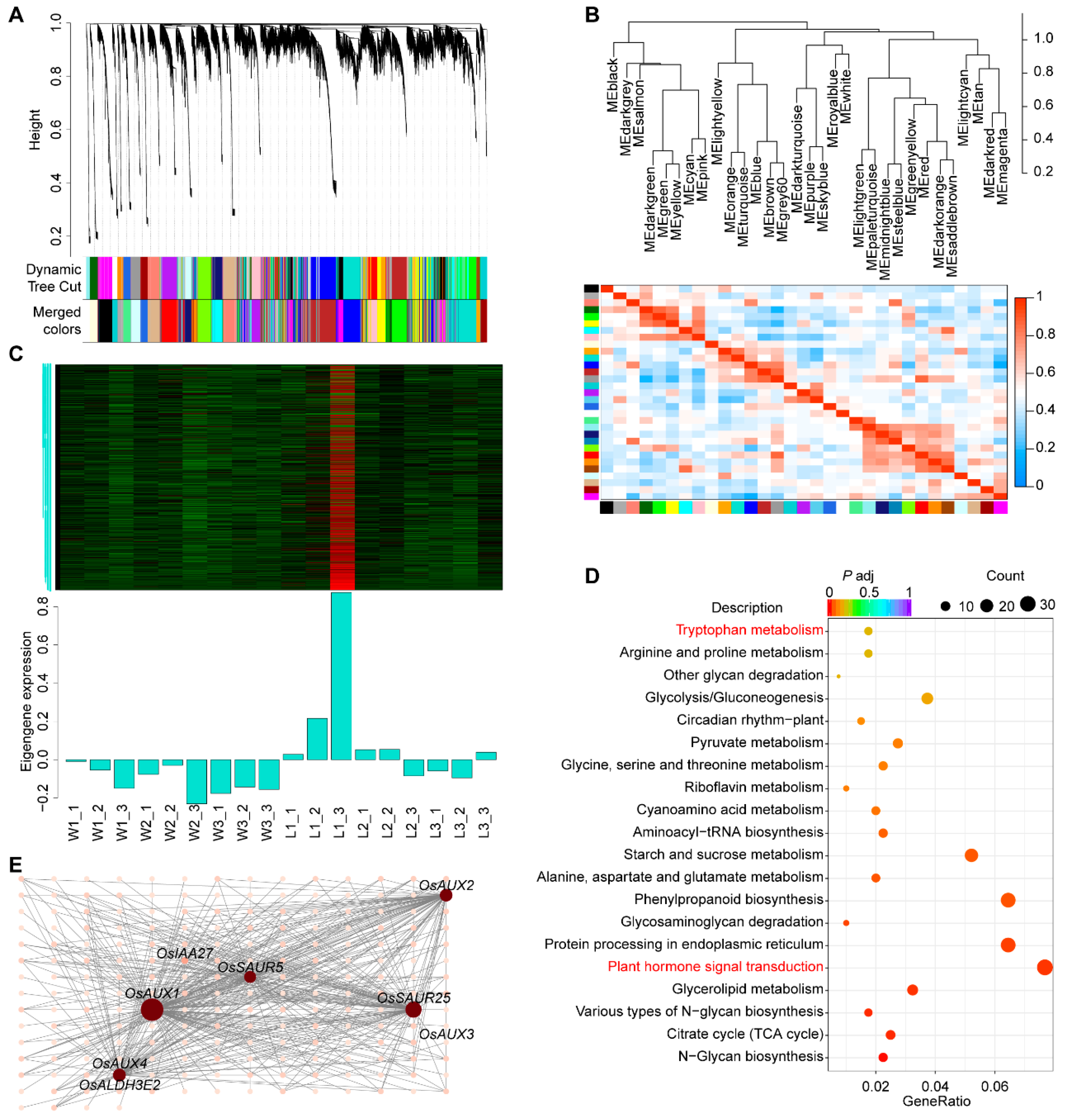 Plants 13 00759 g004