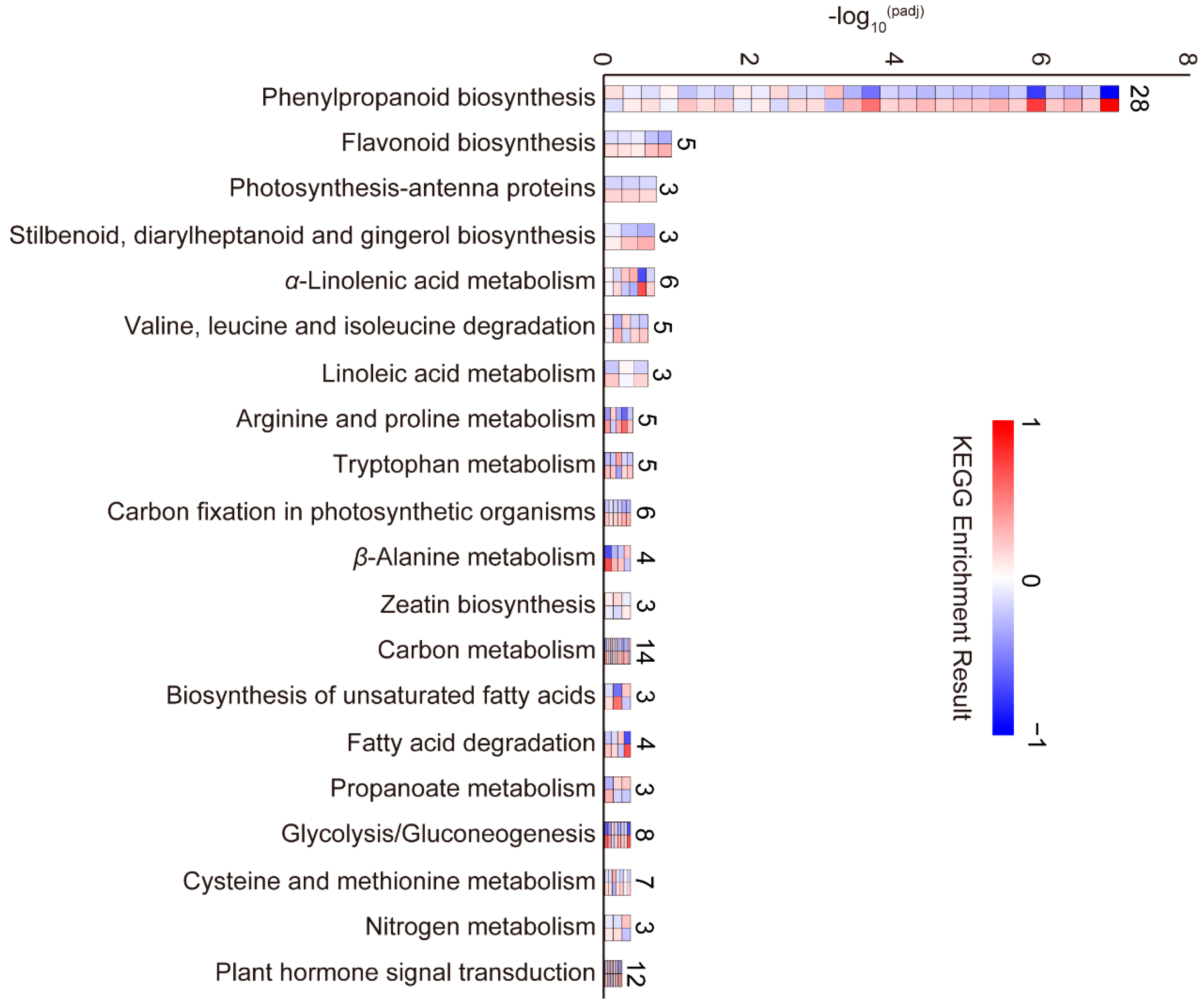 Plants 13 00759 g005