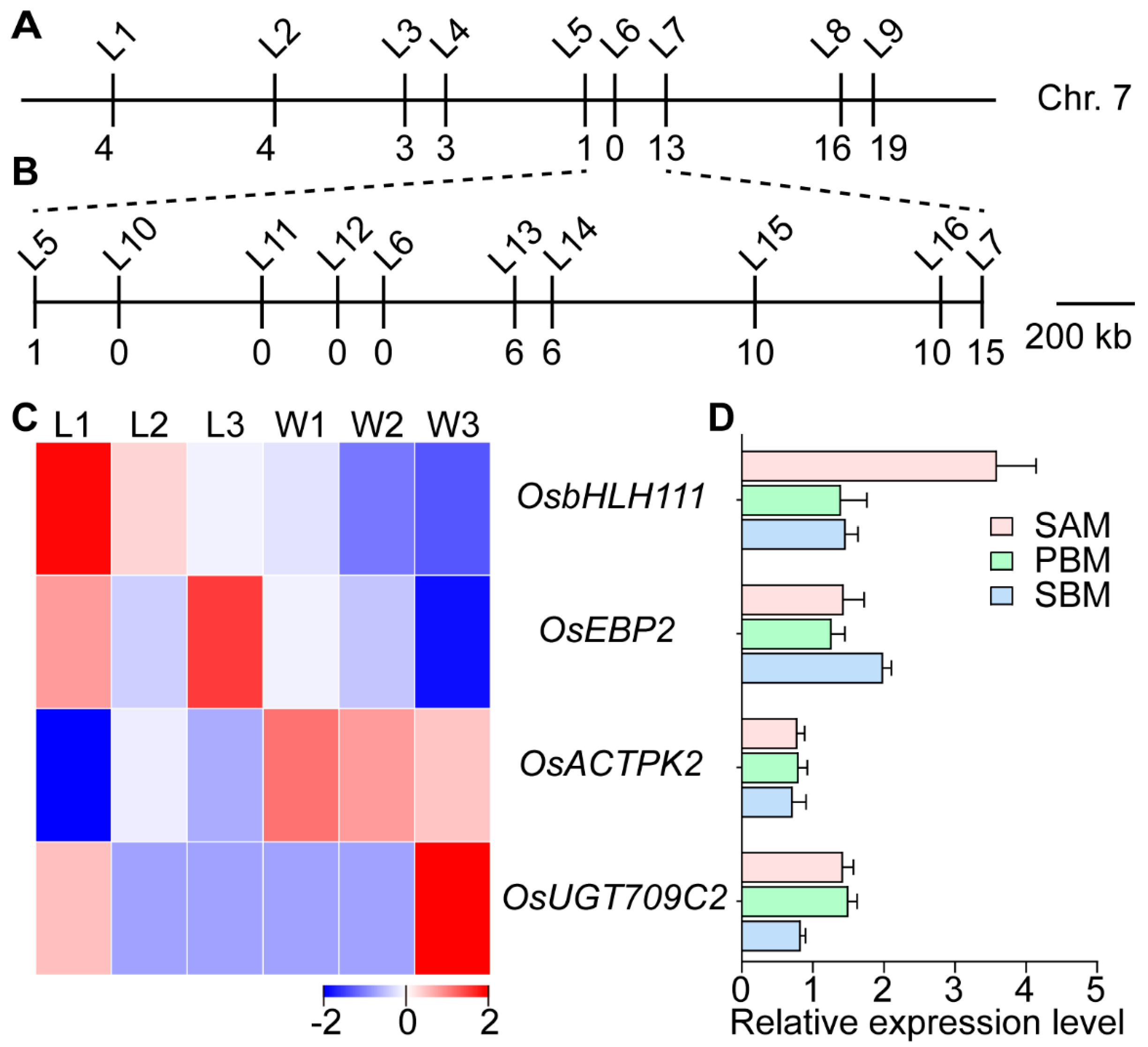 Plants 13 00759 g007