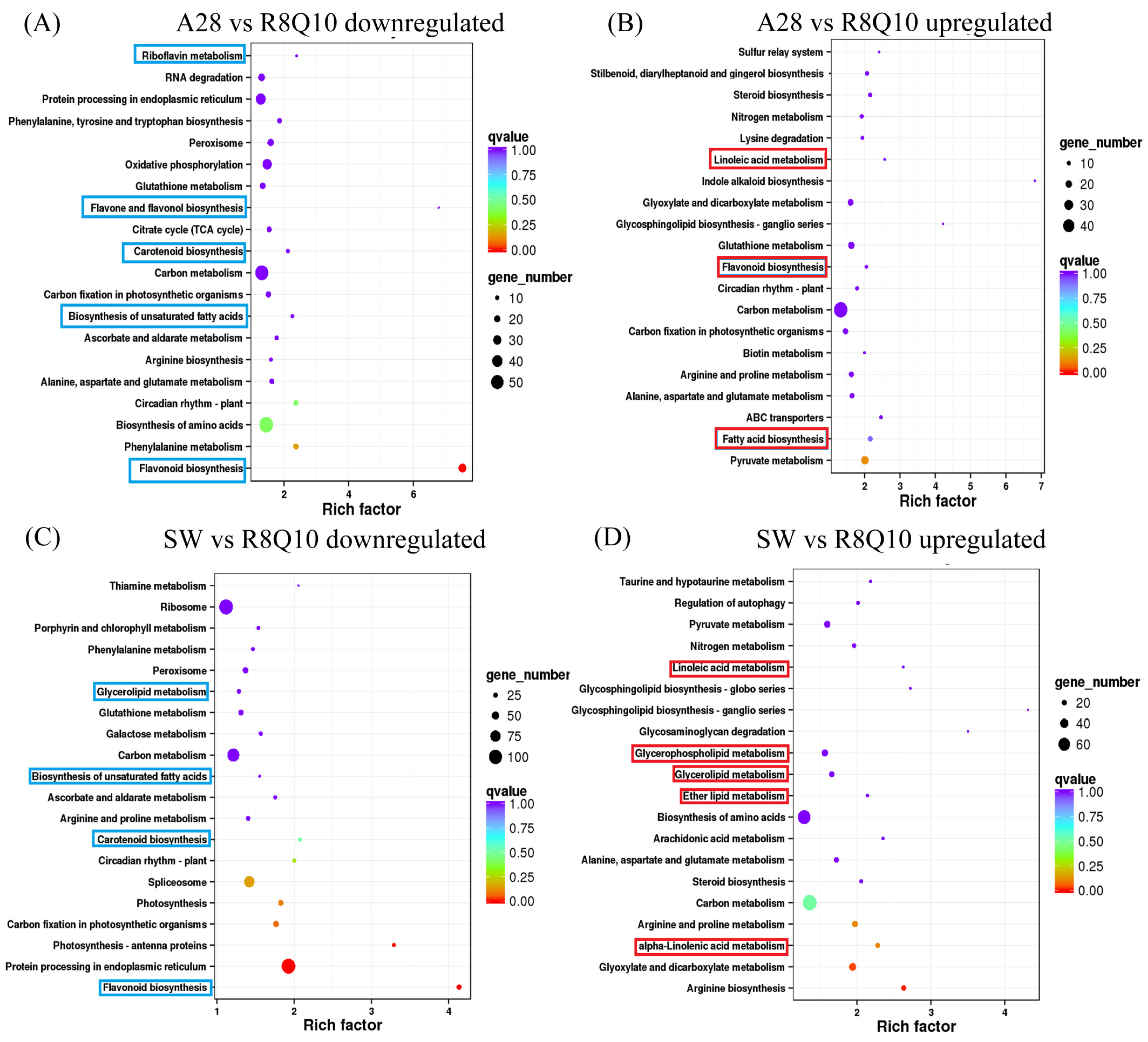 Plants 13 00760 g003
