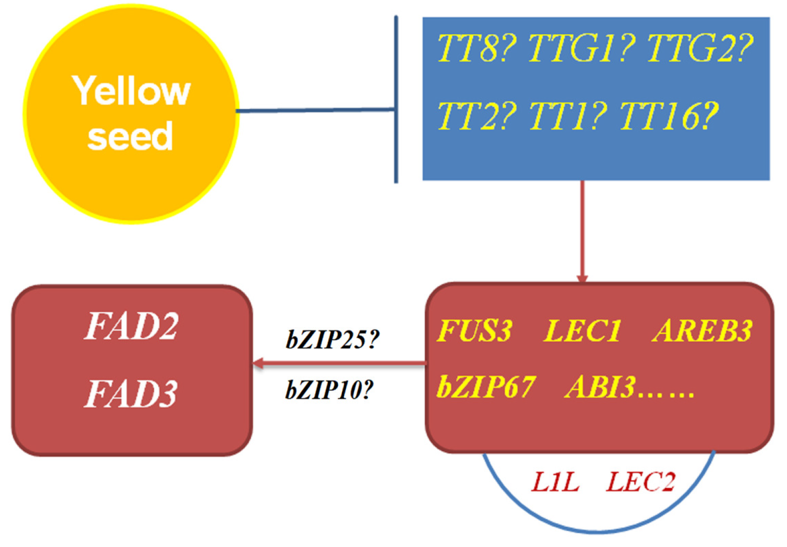 Plants 13 00760 g006
