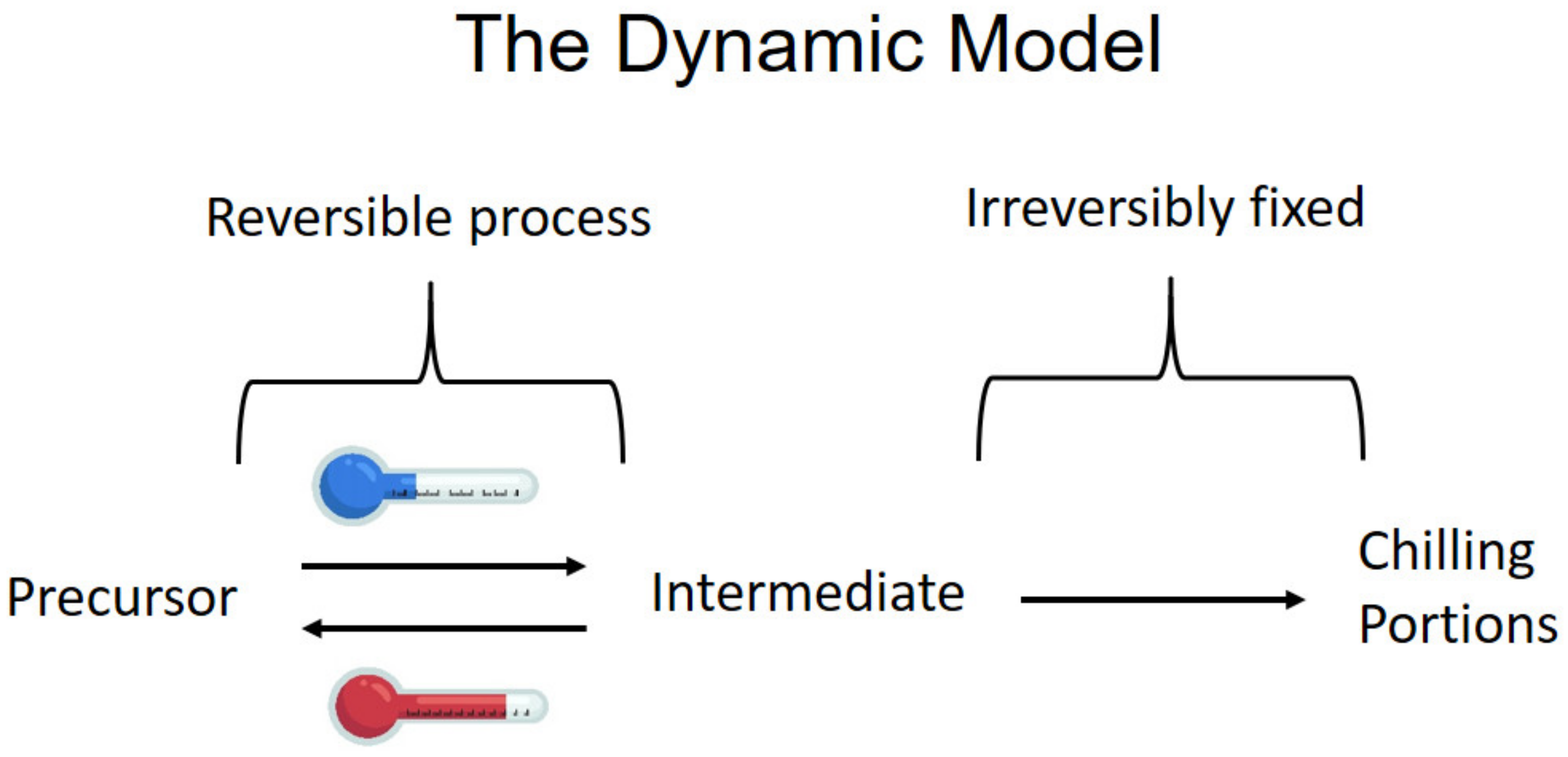 Plants 13 00764 g002