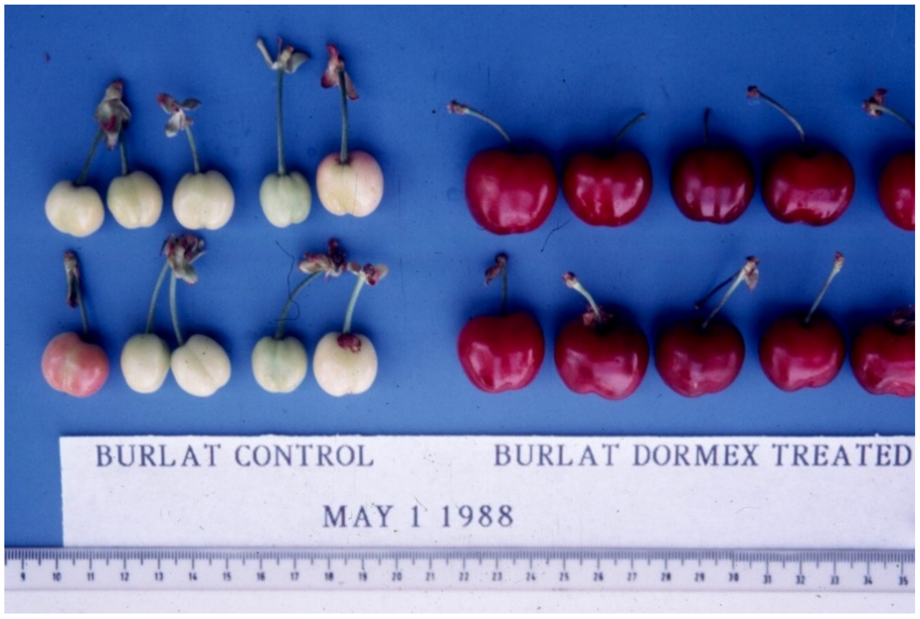 Plants 13 00764 g005