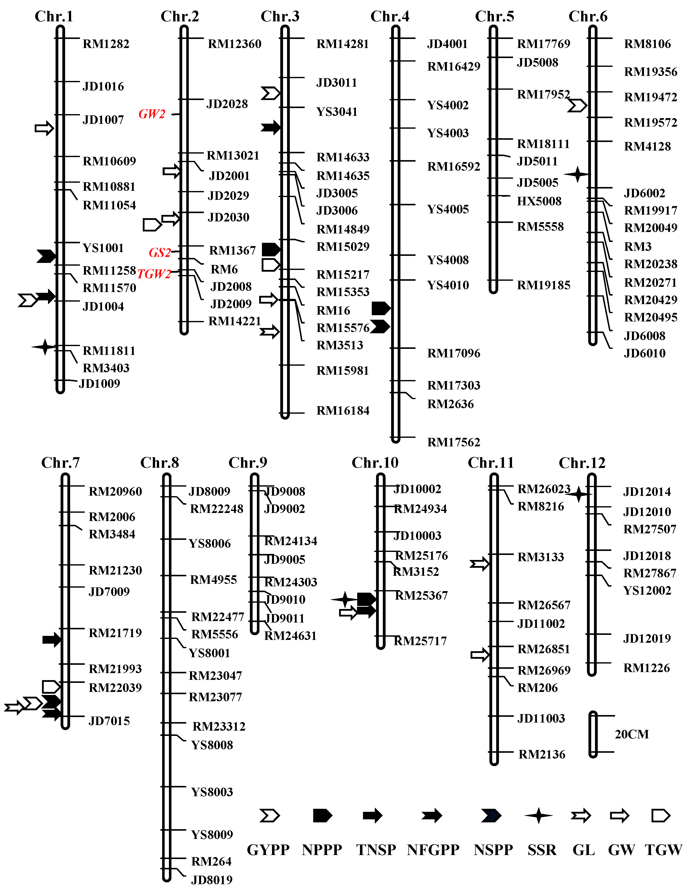 Plants 13 00770 g005
