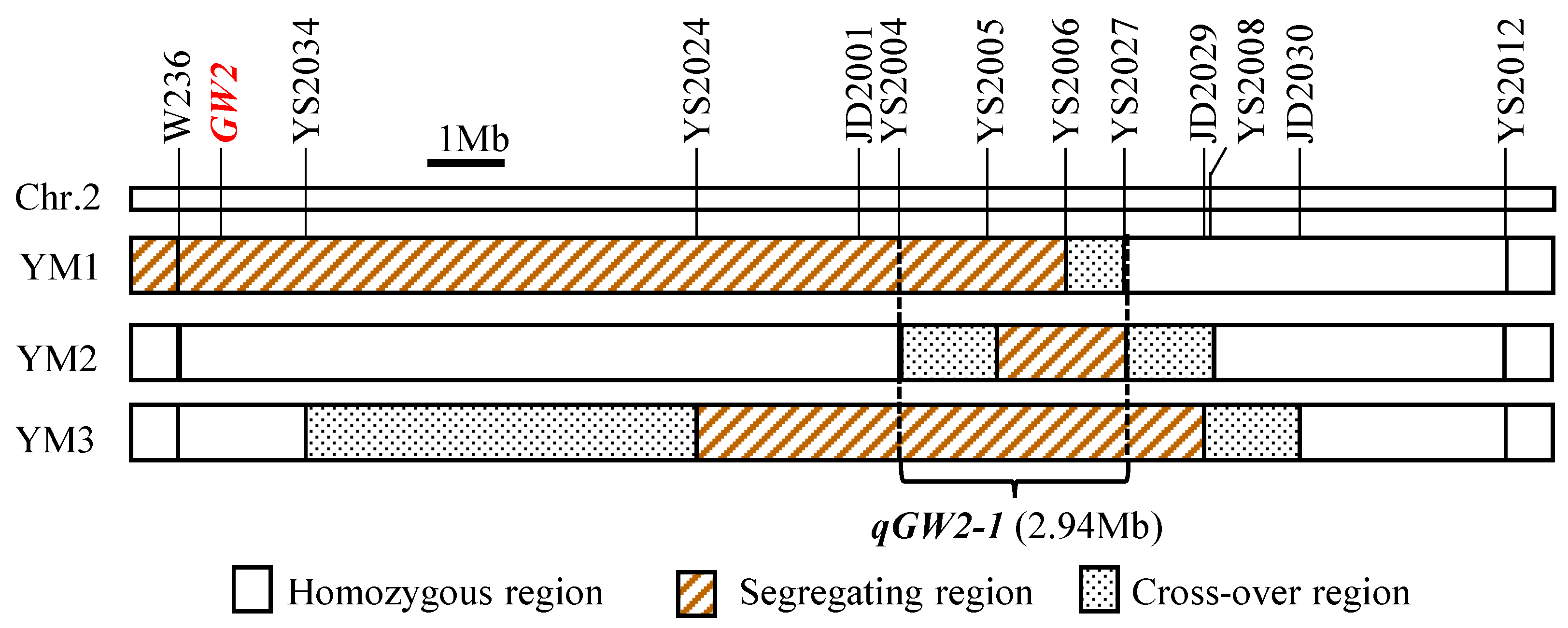 Plants 13 00770 g006