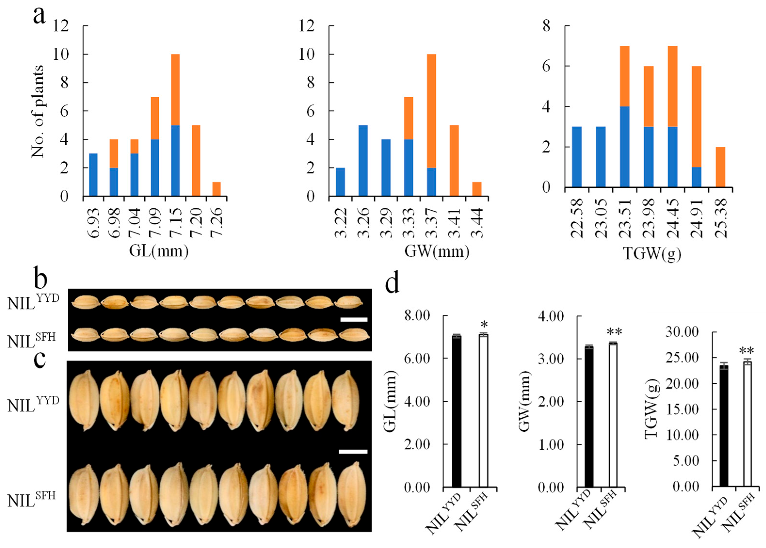 Plants 13 00770 g007