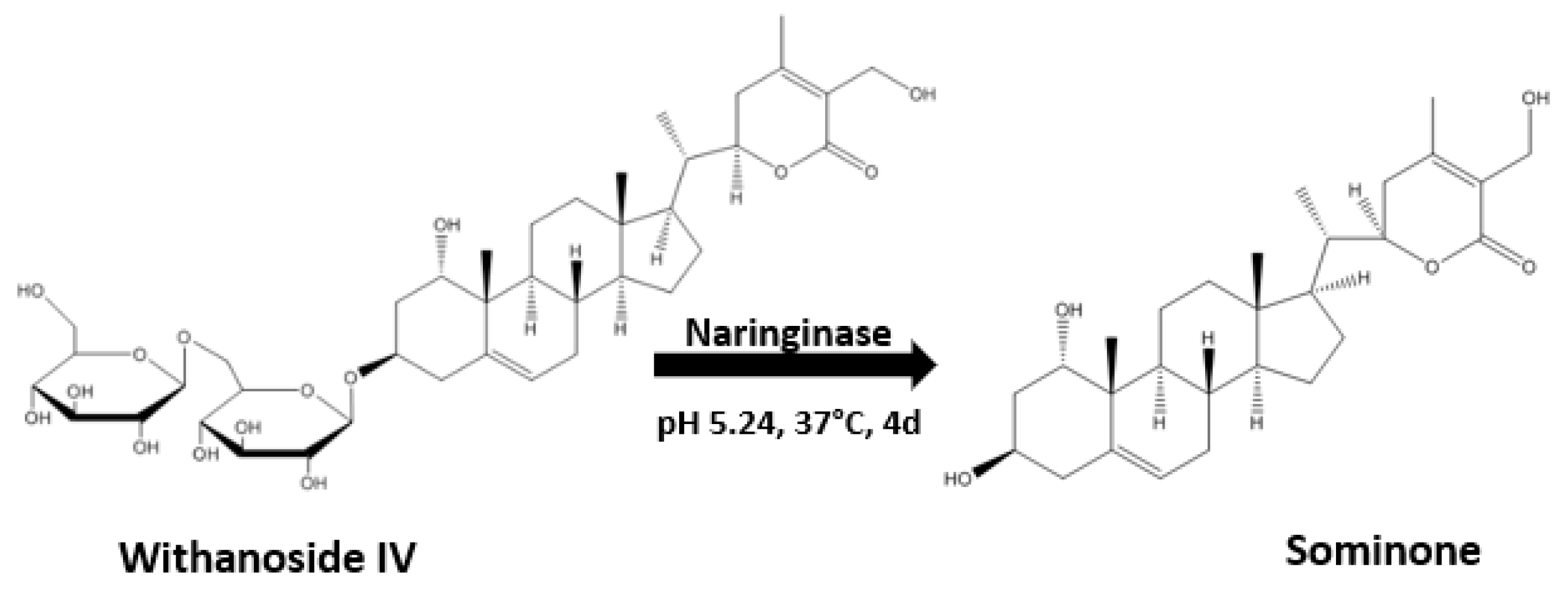 Plants 13 00771 g002 Plants 13 00771 g002