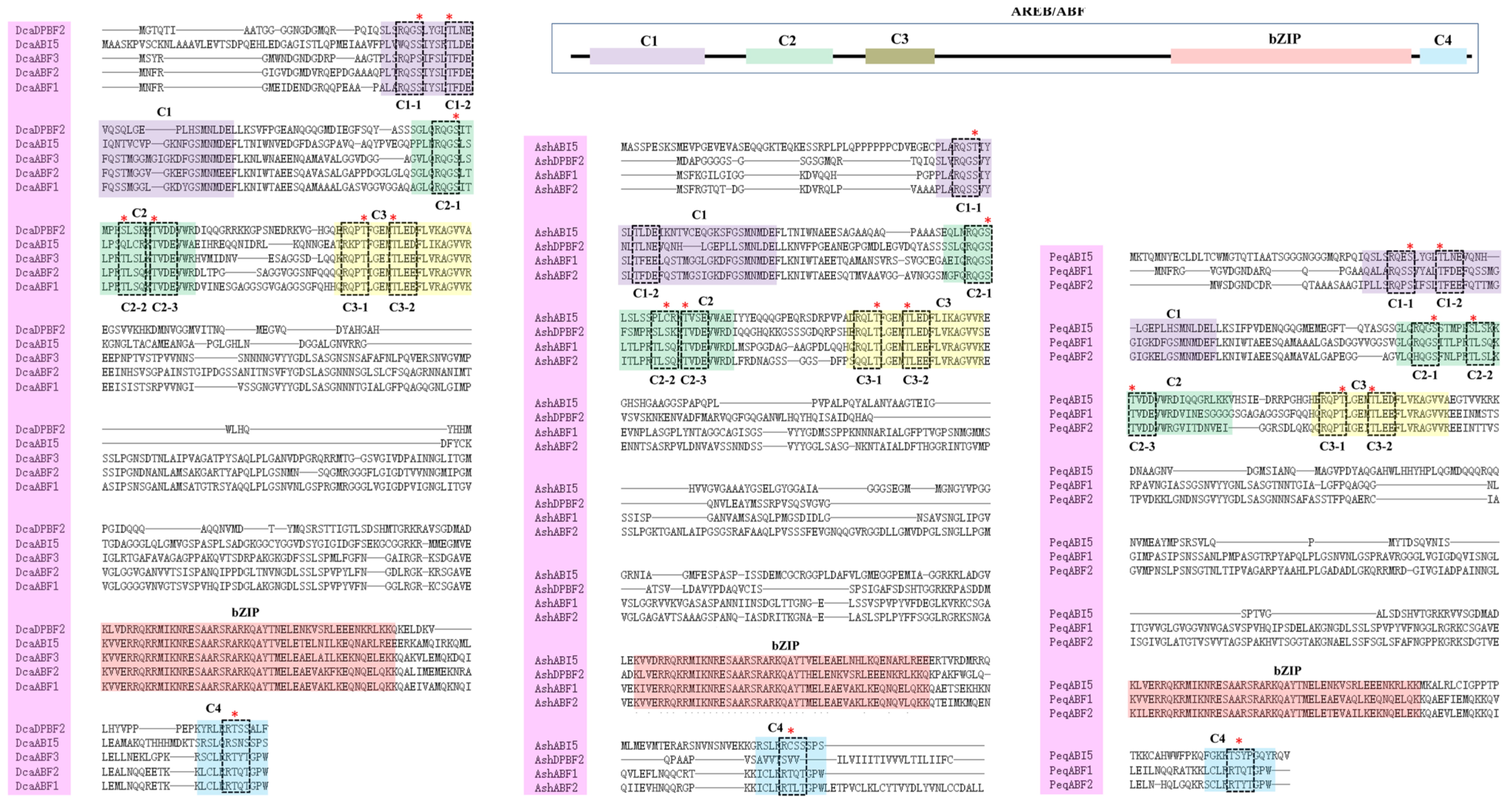 Plants 13 00774 g001