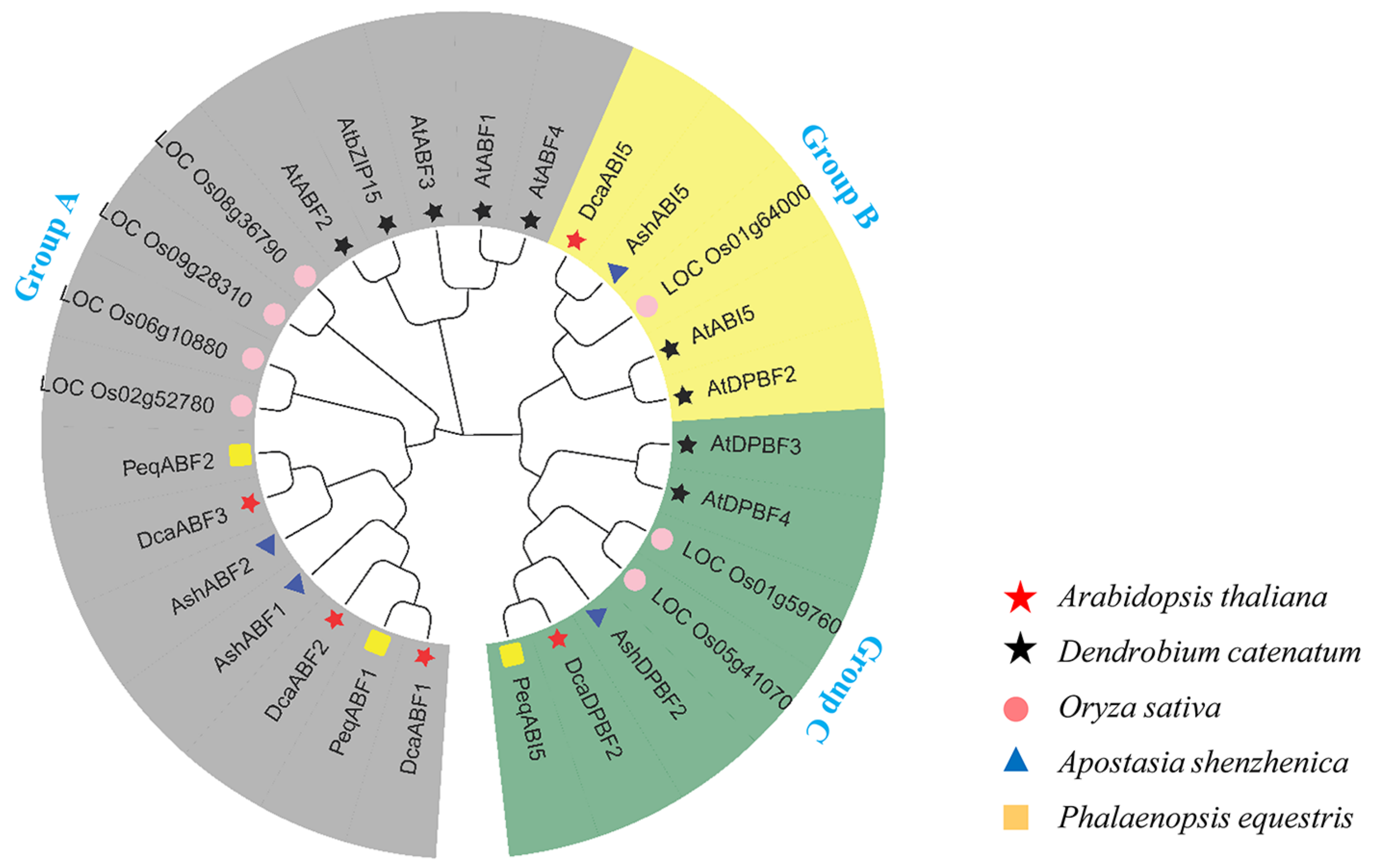Plants 13 00774 g002
