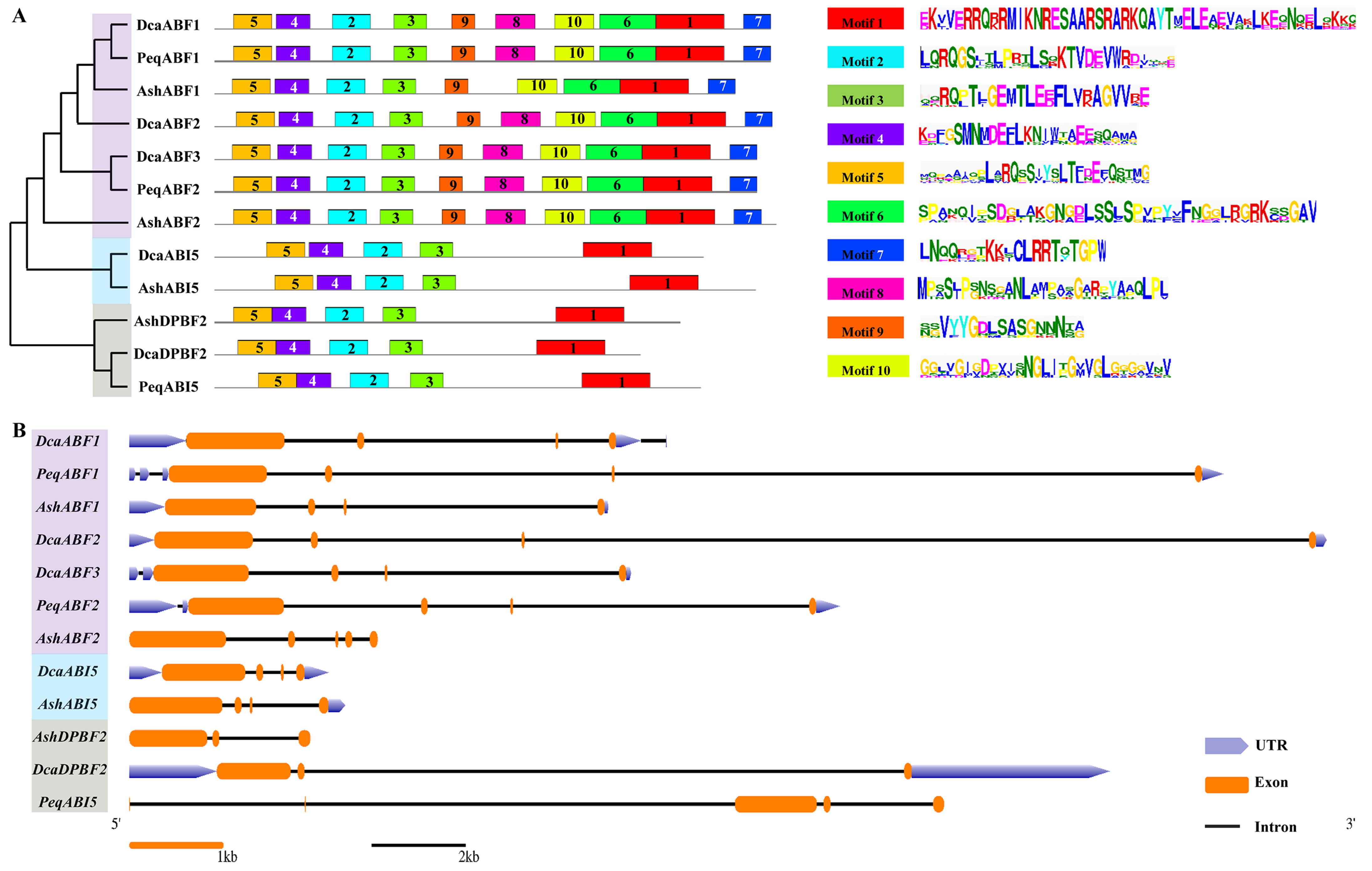 Plants 13 00774 g003