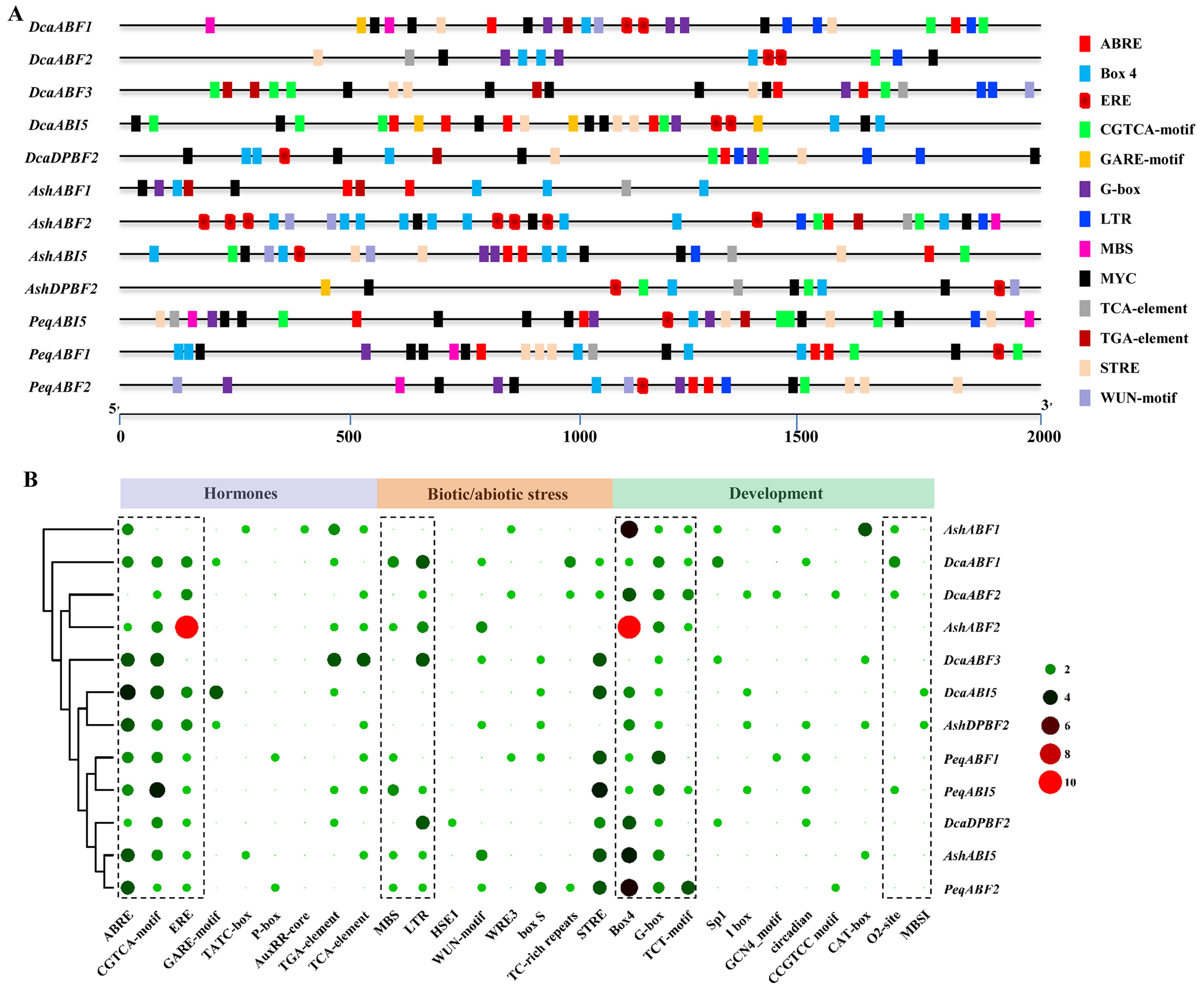 Plants 13 00774 g004