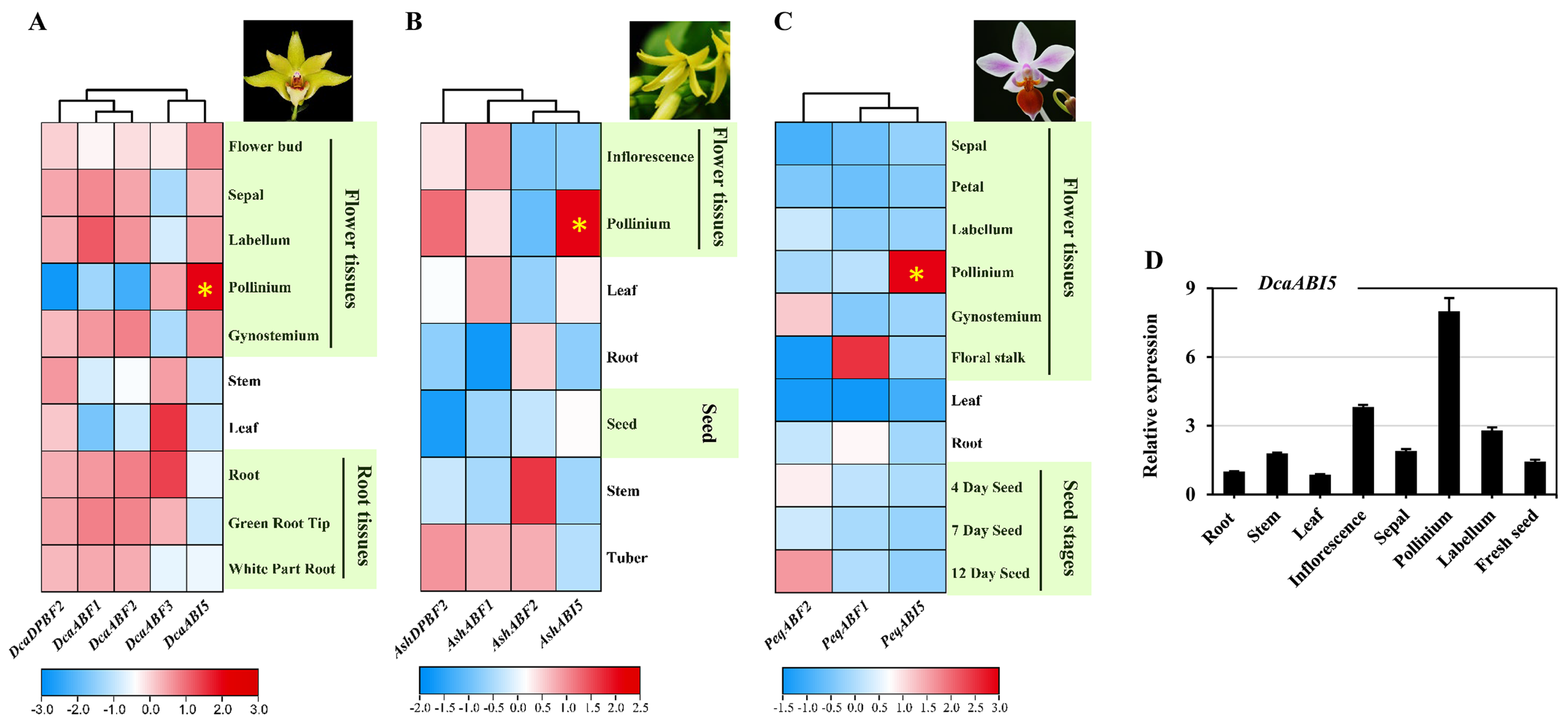 Plants 13 00774 g006
