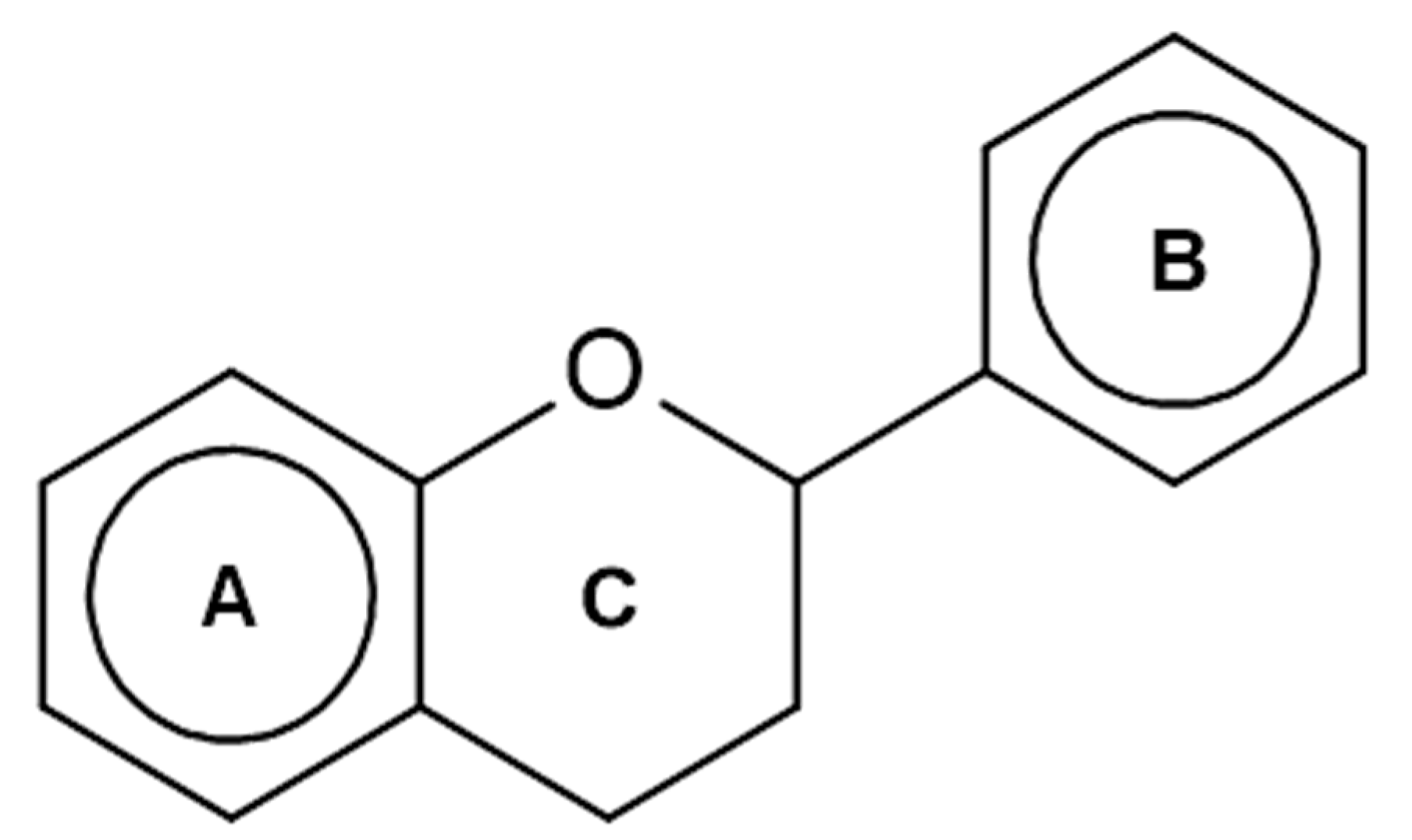 Plants 13 00776 g001