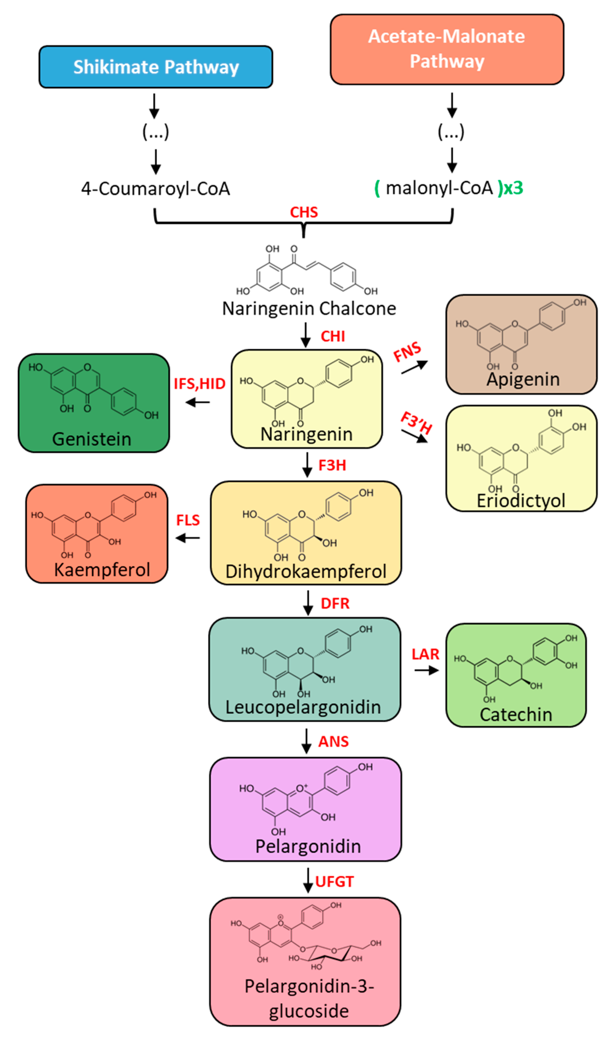 Plants 13 00776 g002