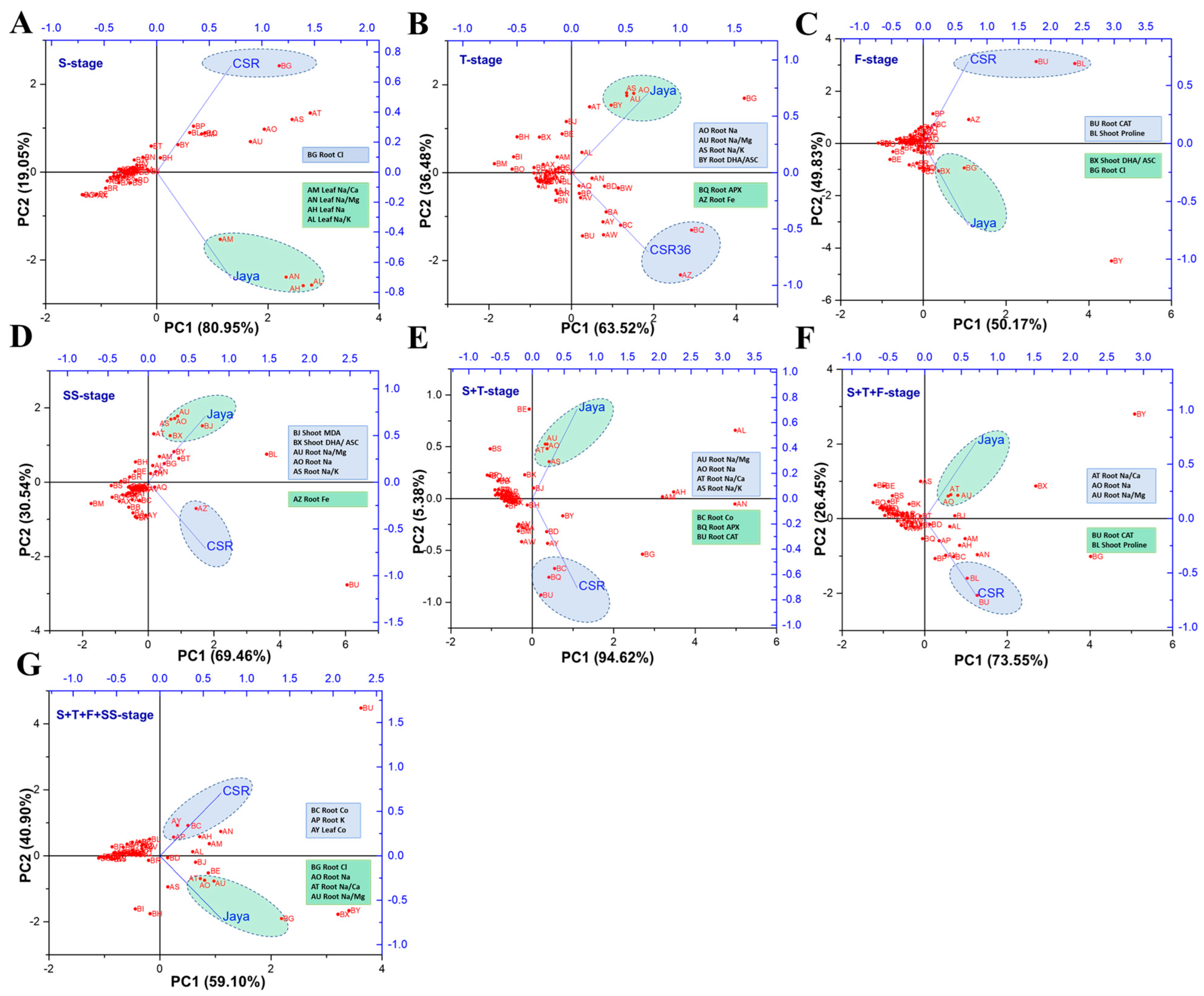 Plants 13 00778 g007