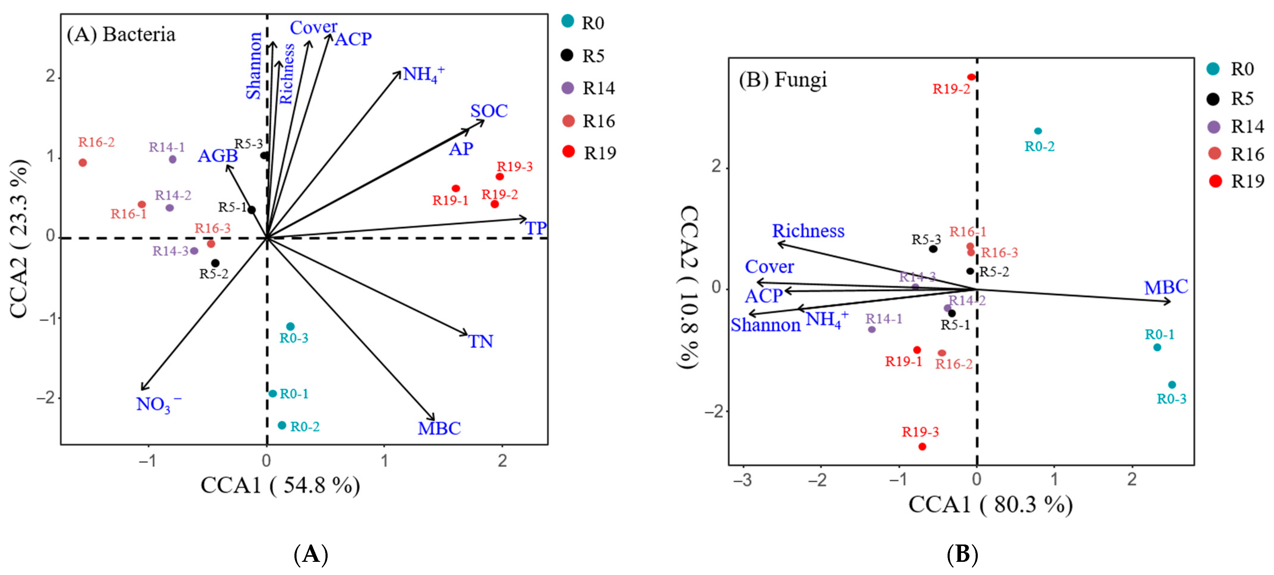 Plants 13 00780 g004
