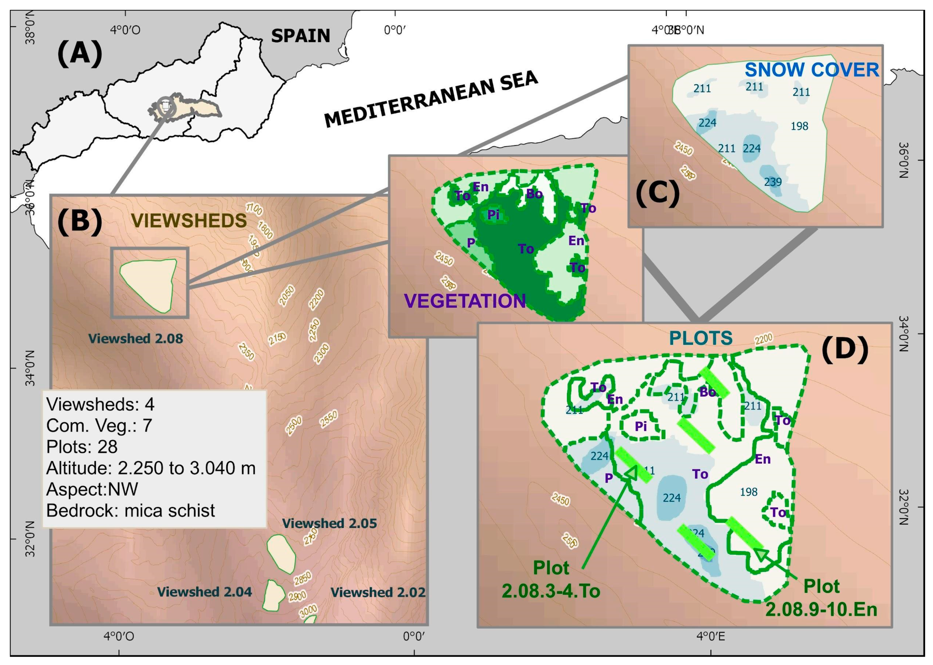 Plants 13 00783 g004
