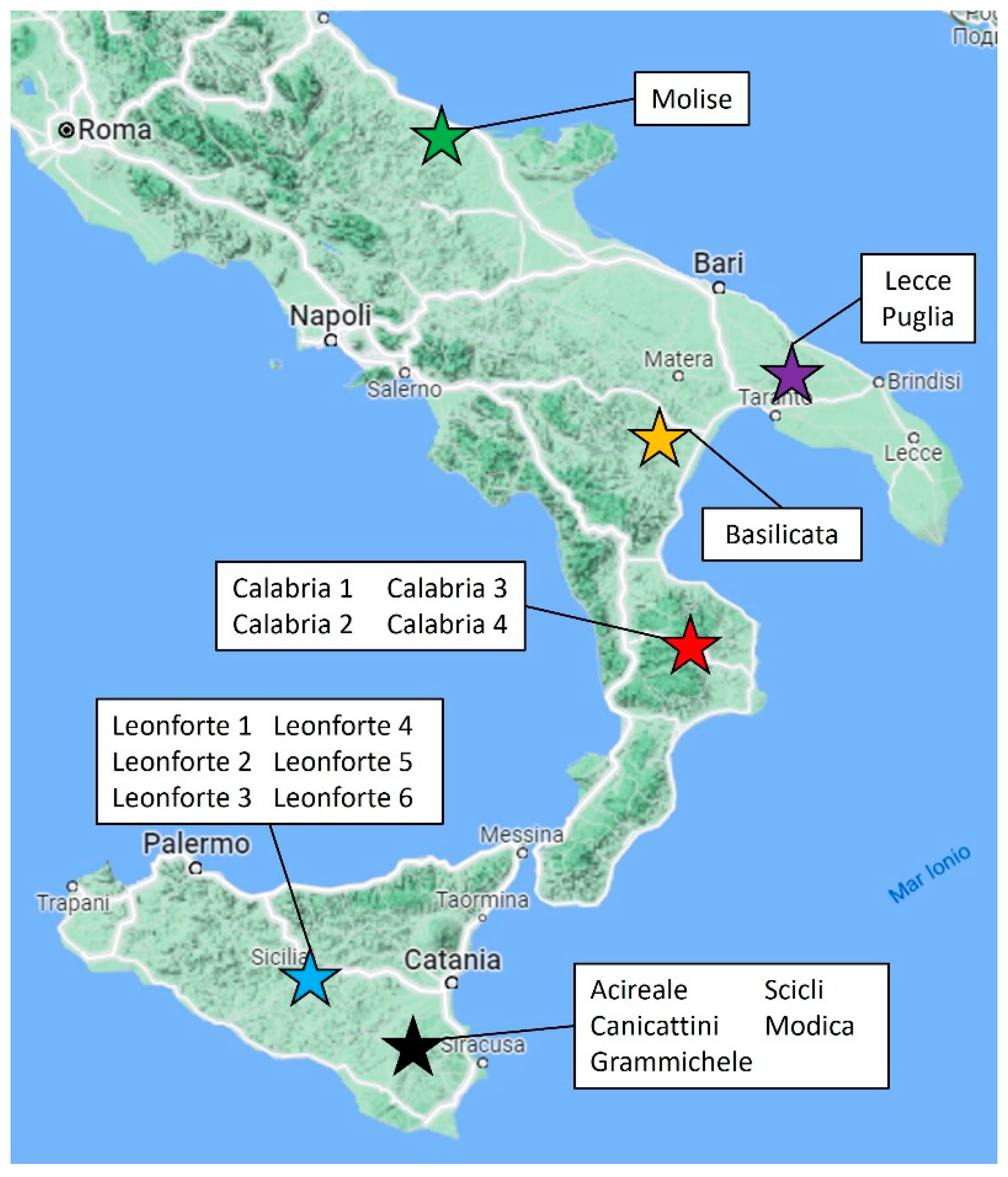 Plants 13 00785 g001