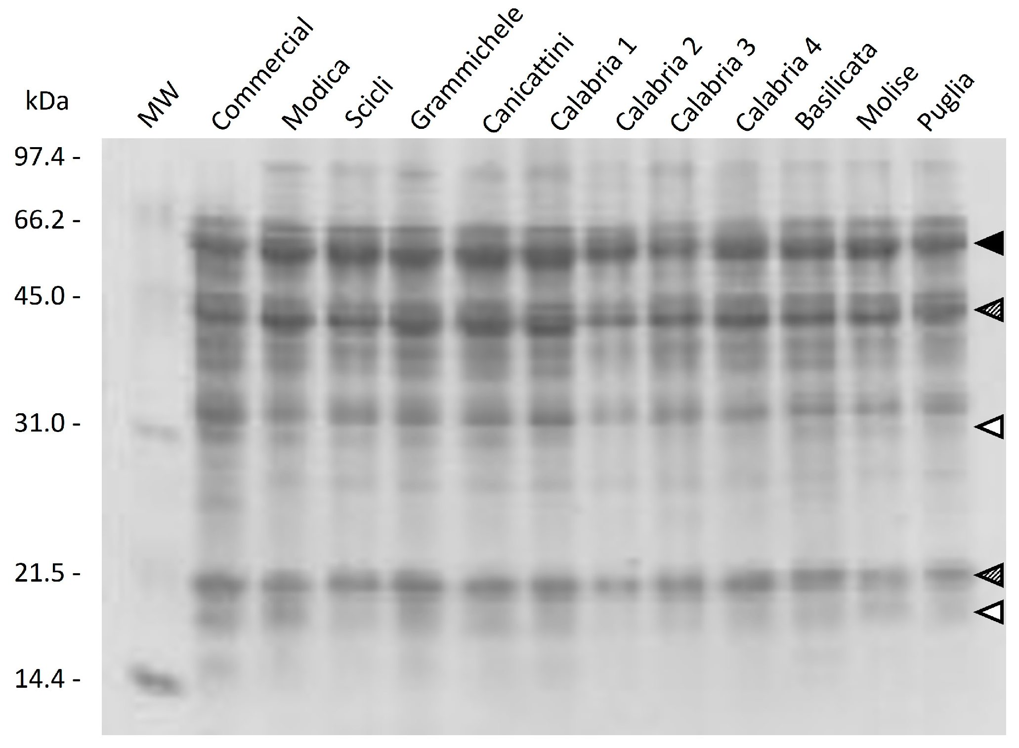 Plants 13 00785 g008