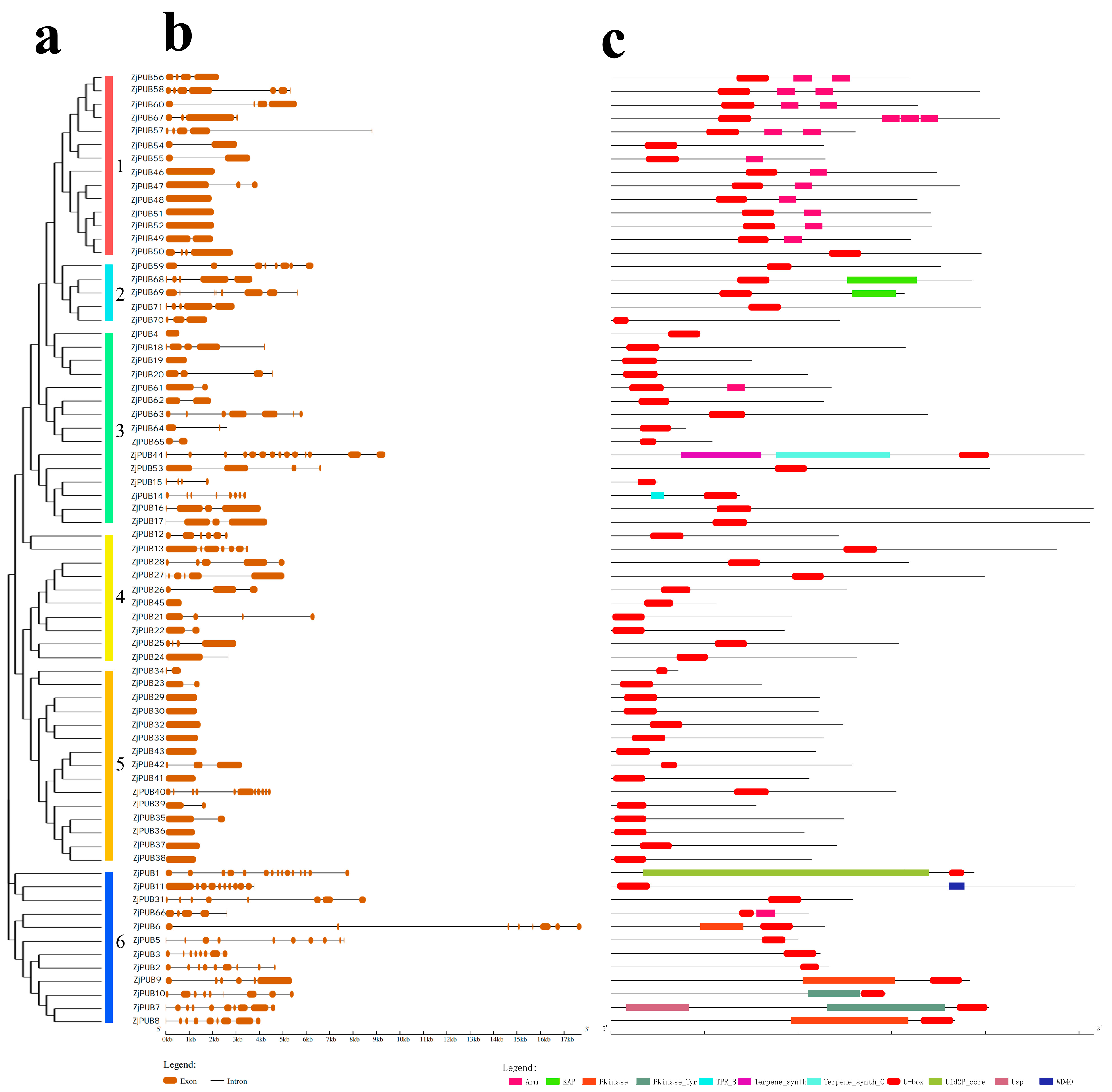 Plants 13 00788 g002
