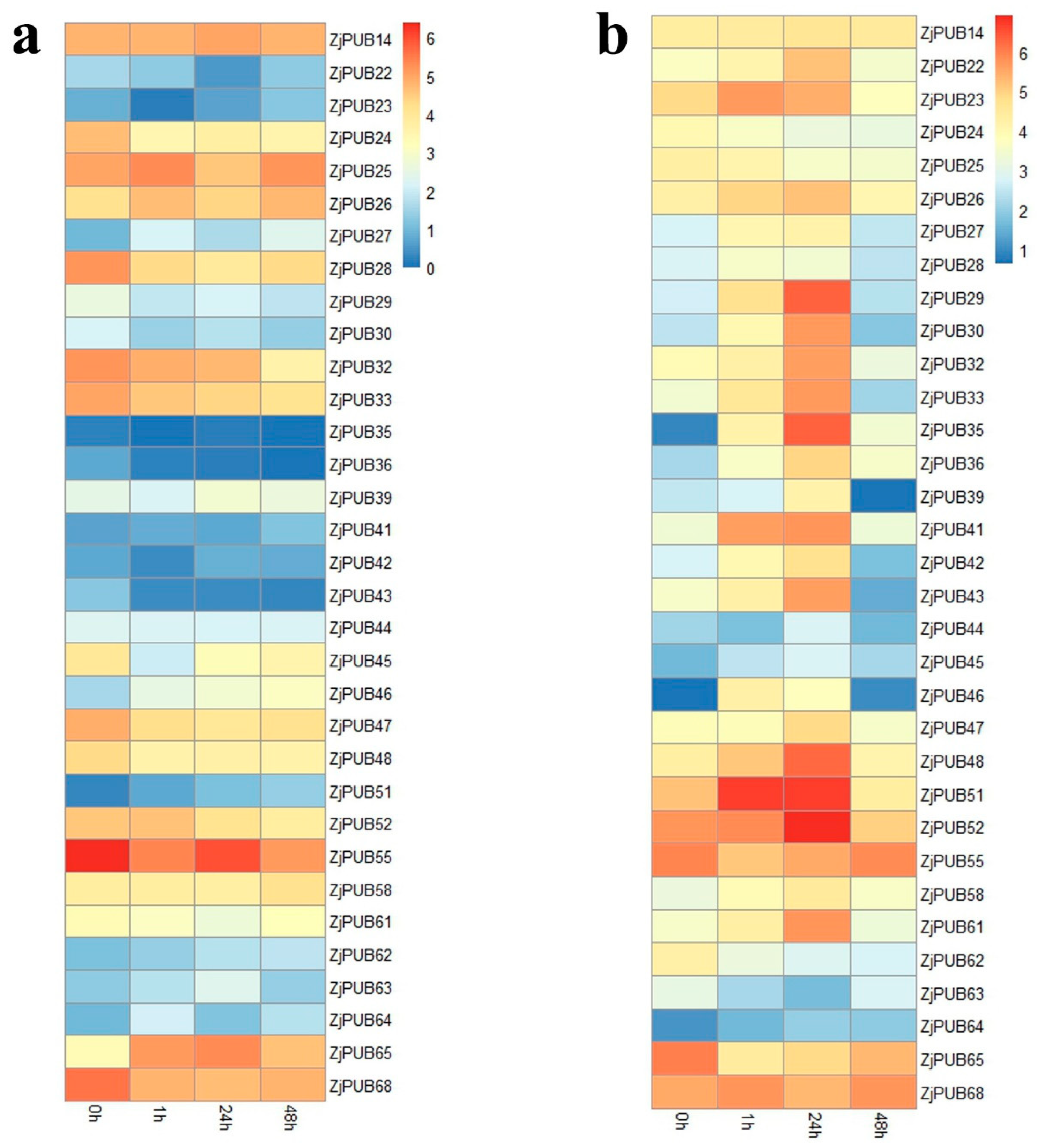 Plants 13 00788 g004