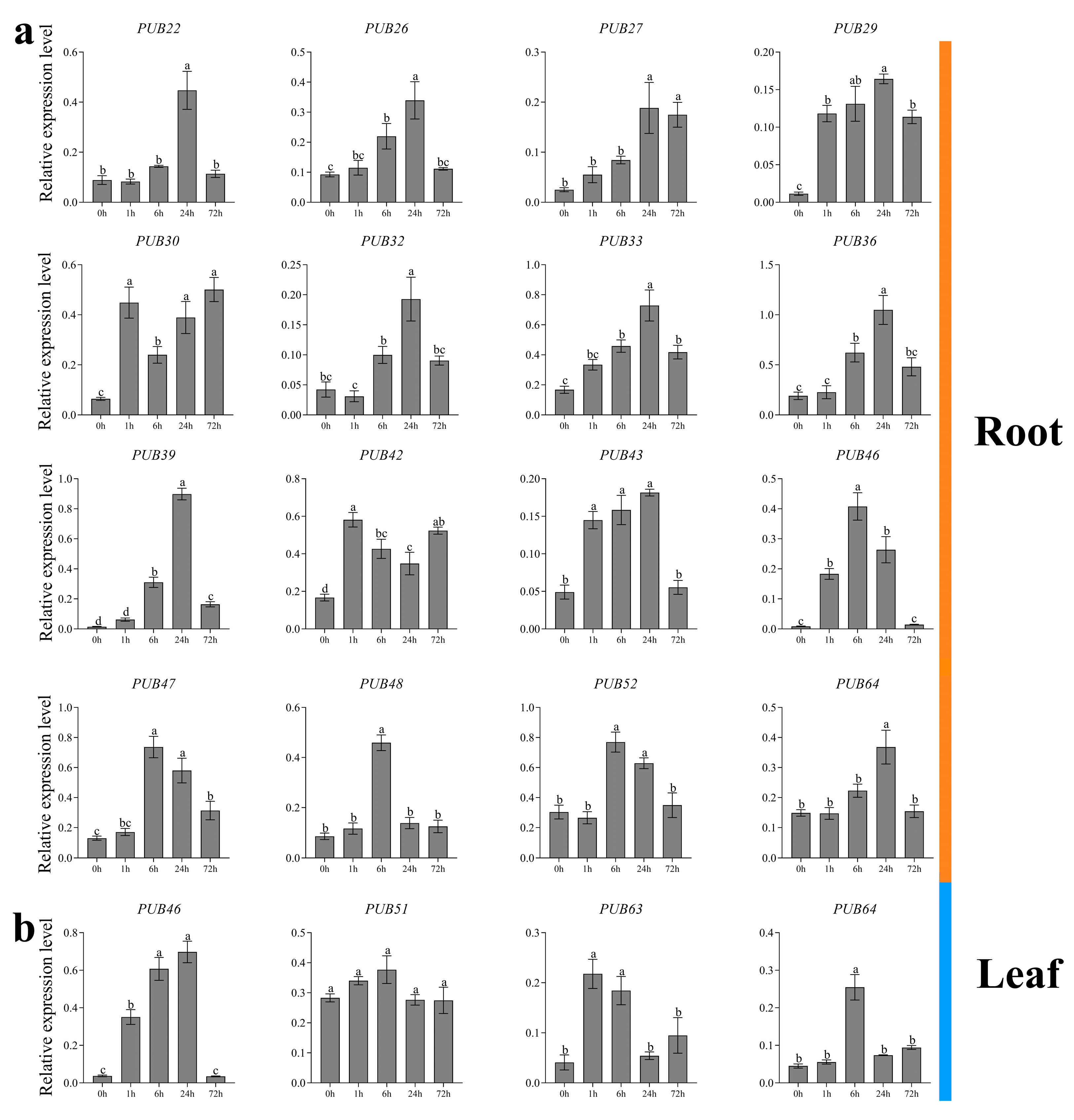 Plants 13 00788 g005