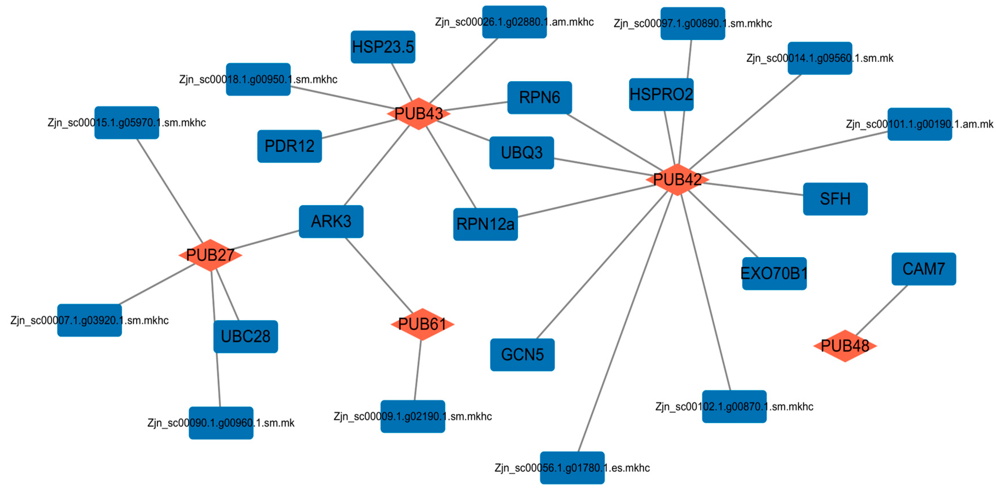 Plants 13 00788 g006
