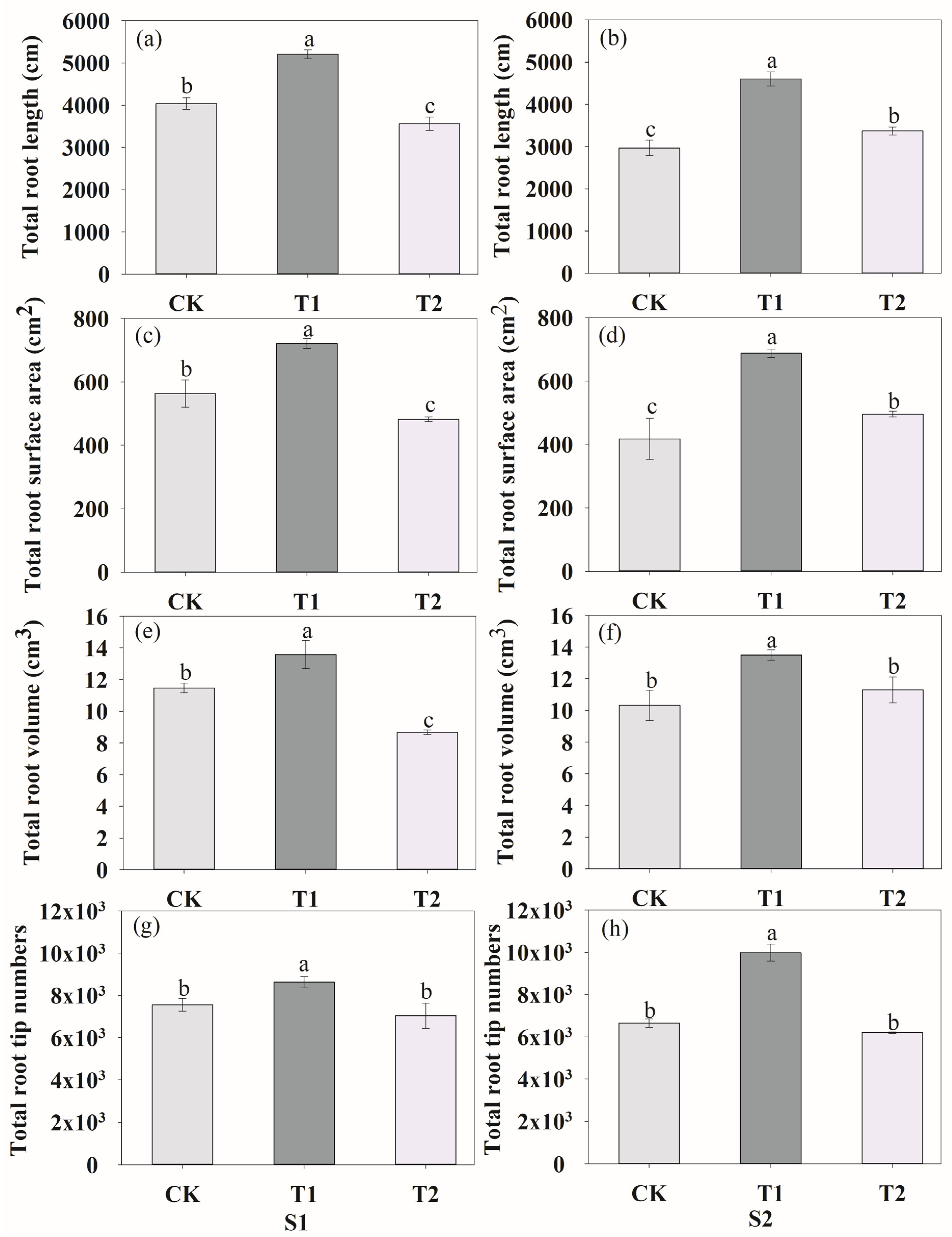 Plants 13 00790 g004