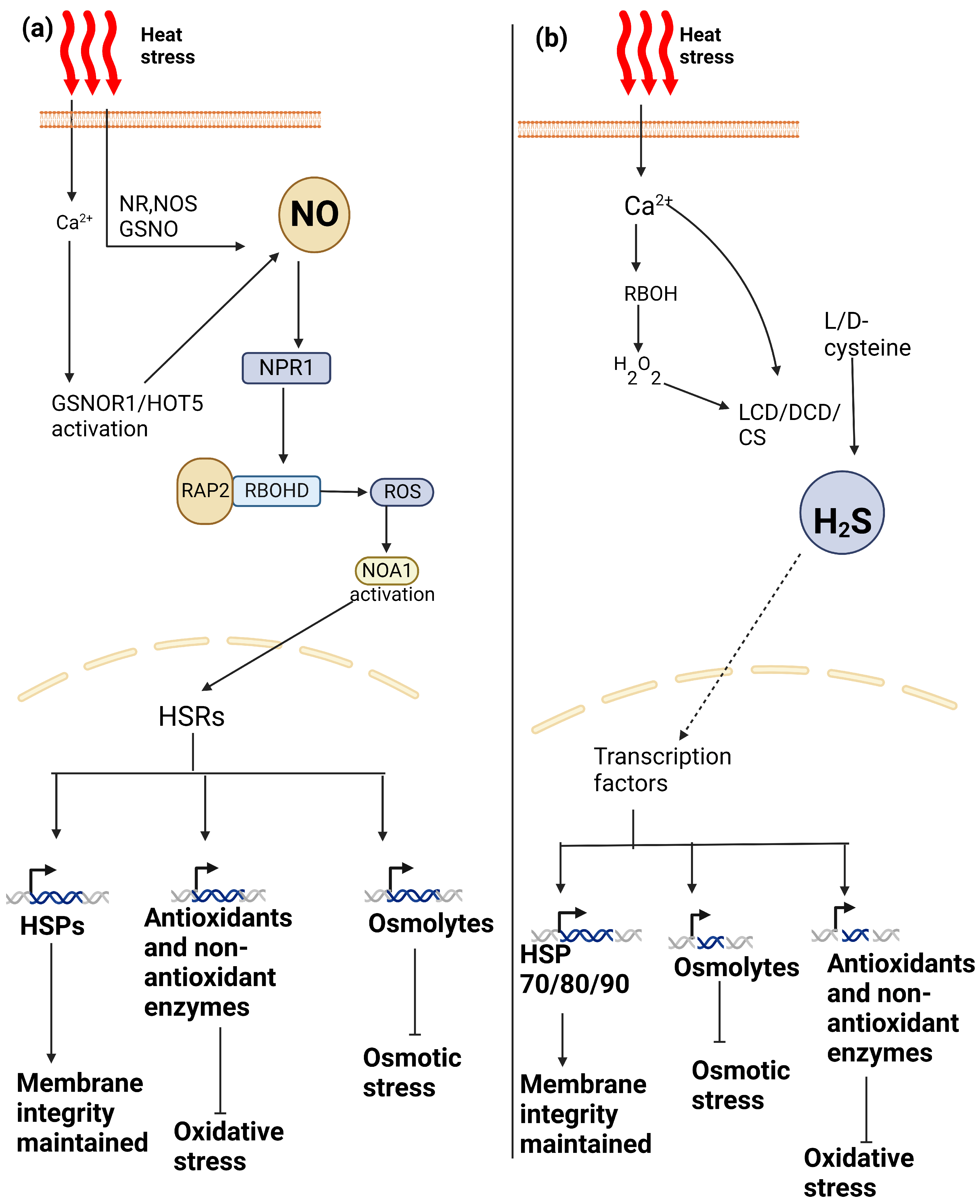 Plants 13 00791 g002