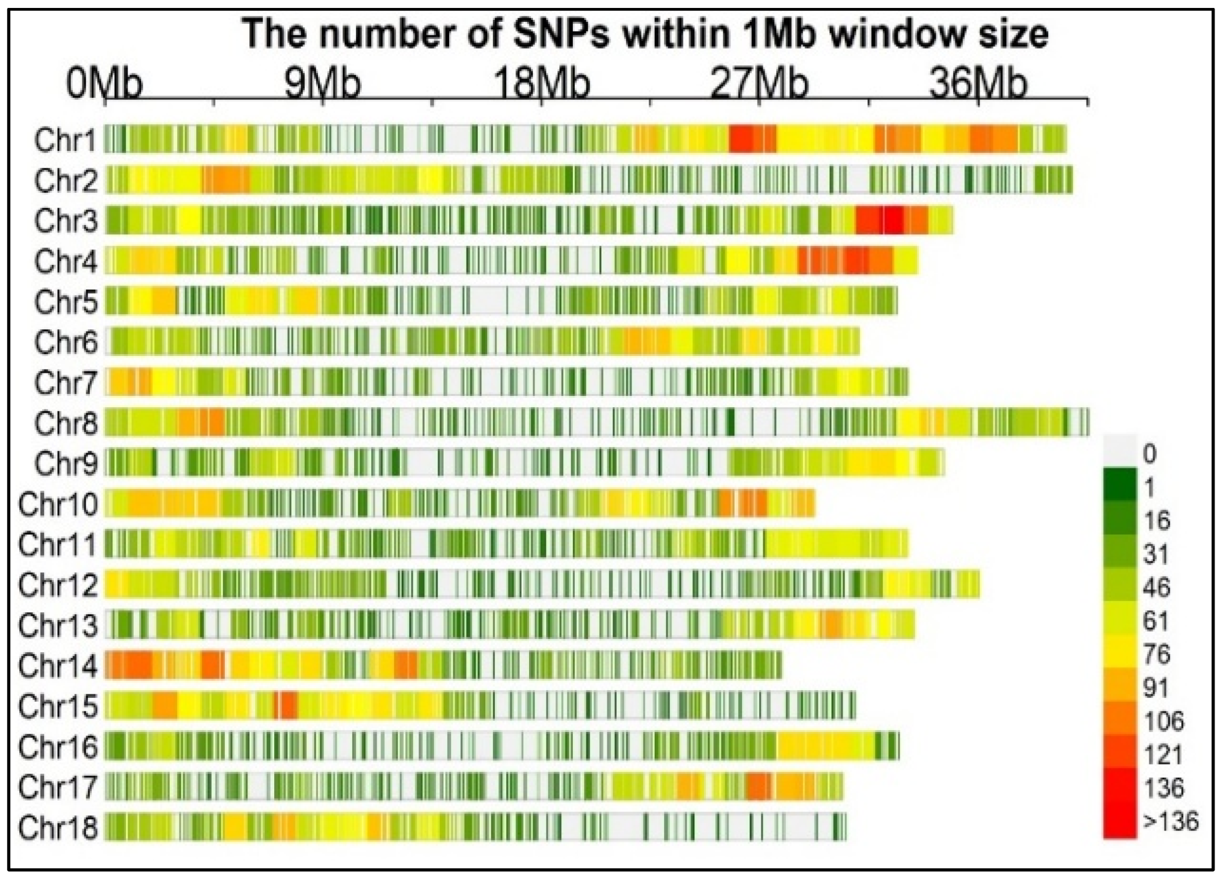 Plants 13 00796 g002