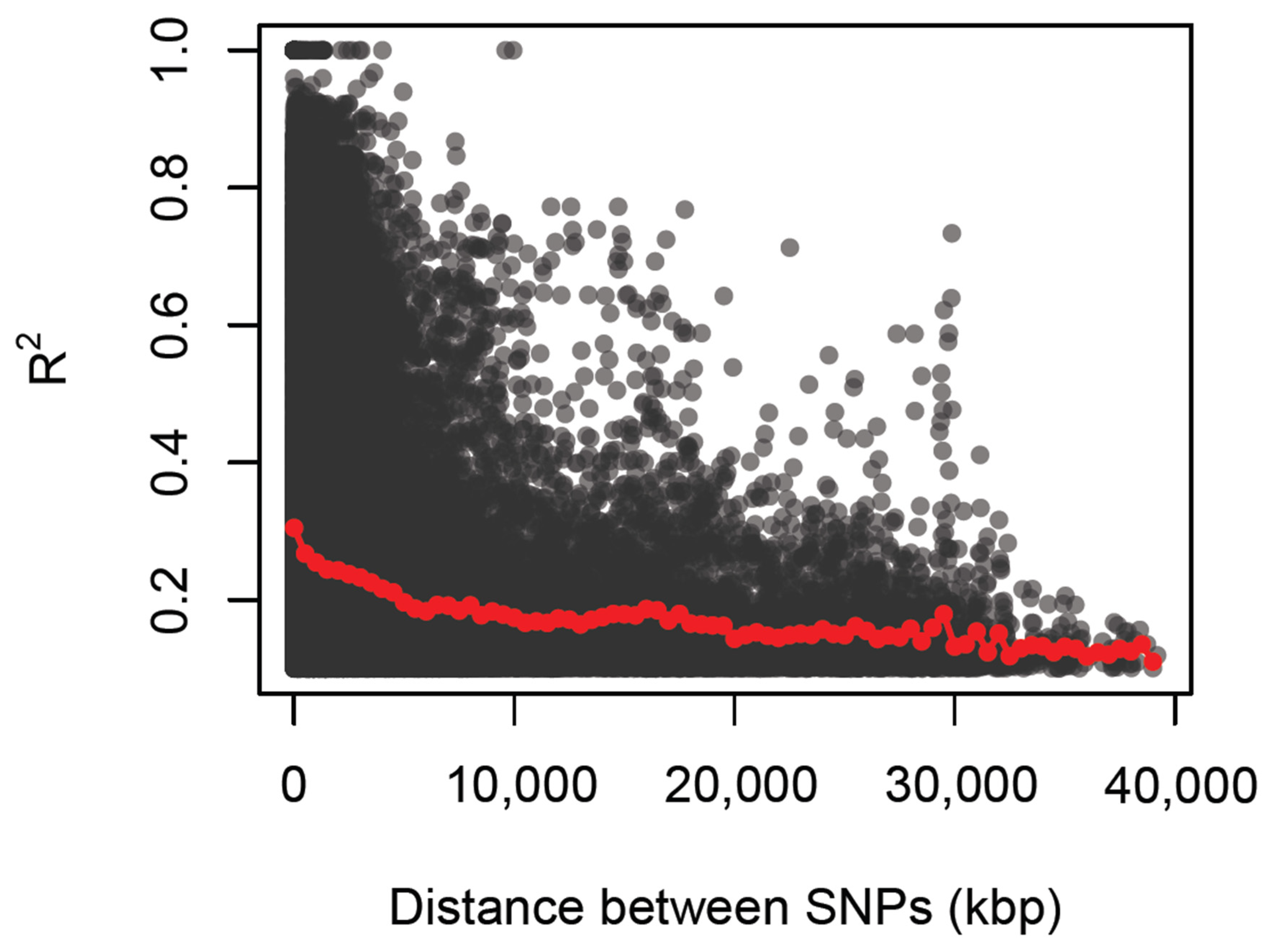 Plants 13 00796 g004