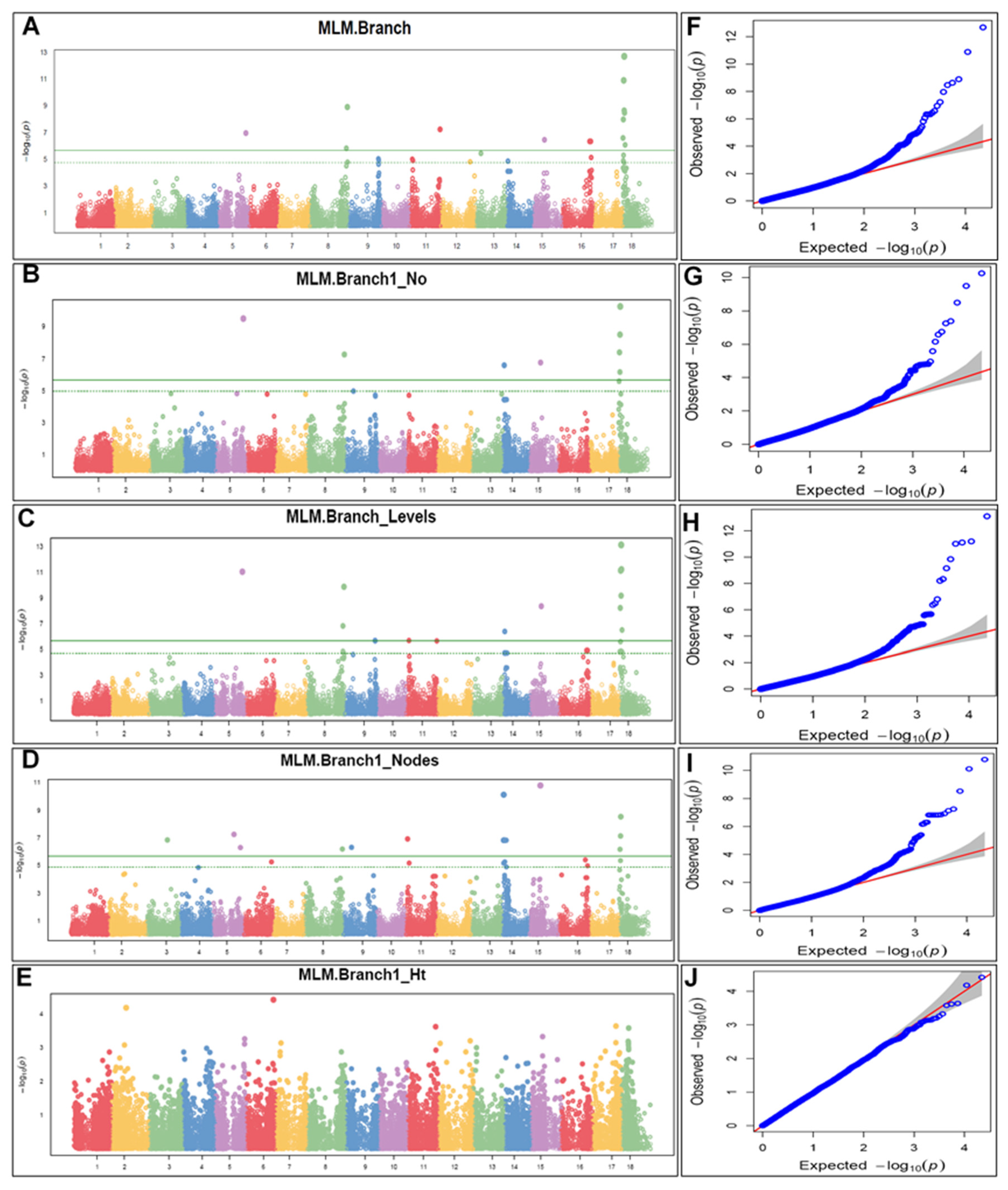 Plants 13 00796 g005