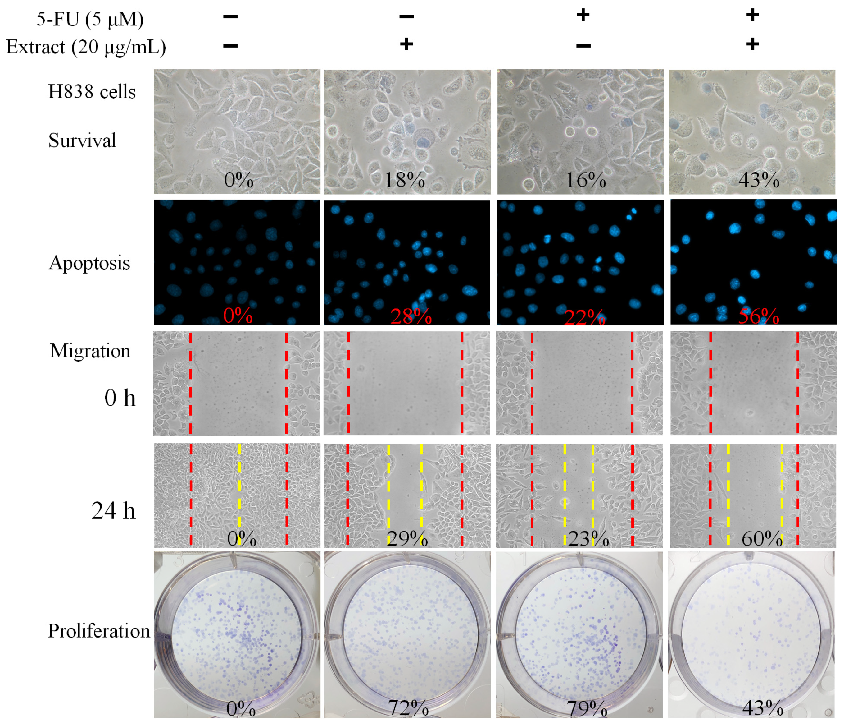 Plants 13 00797 g007