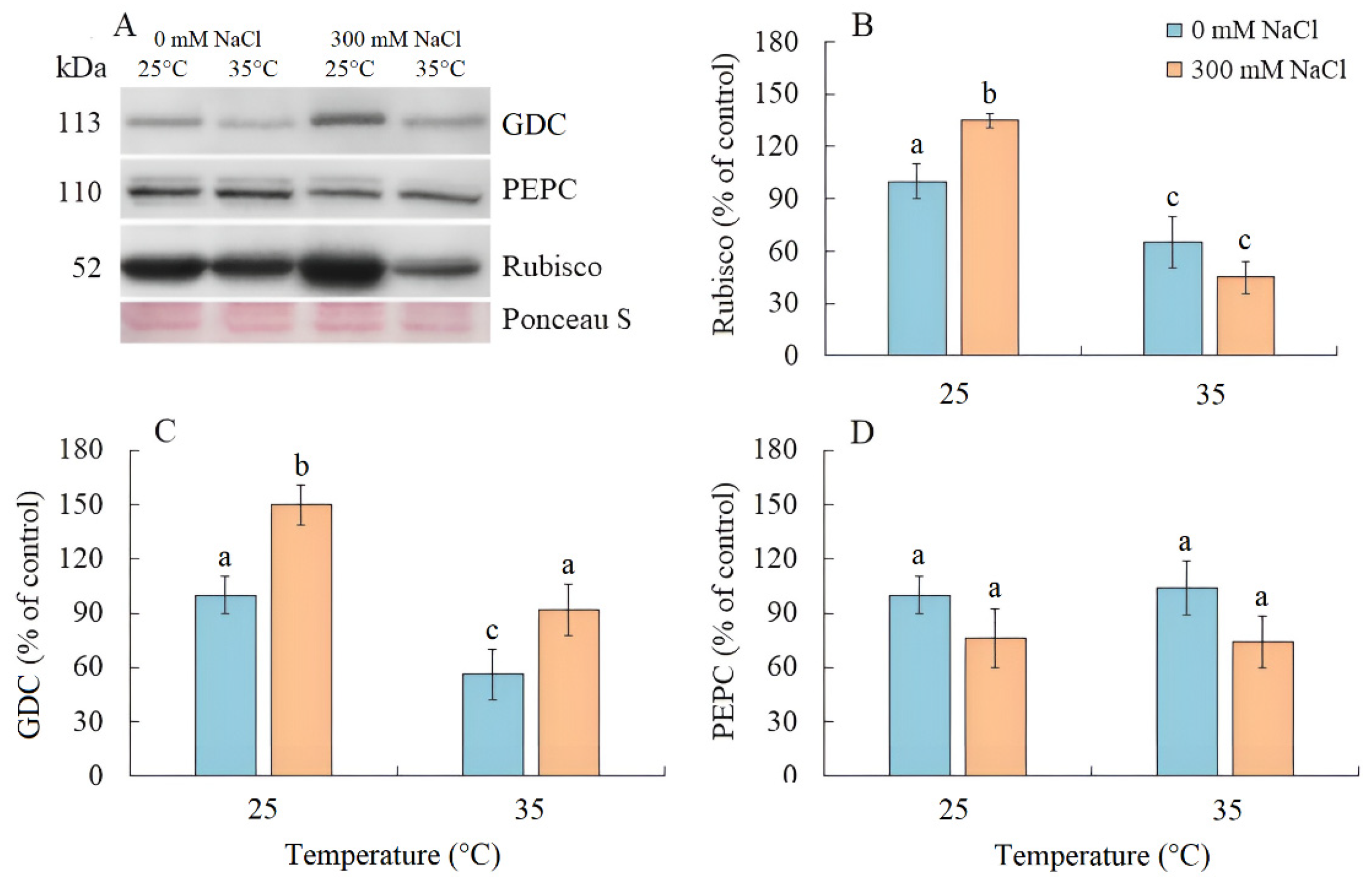 Plants 13 00800 g004 Plants 13 00800 g004