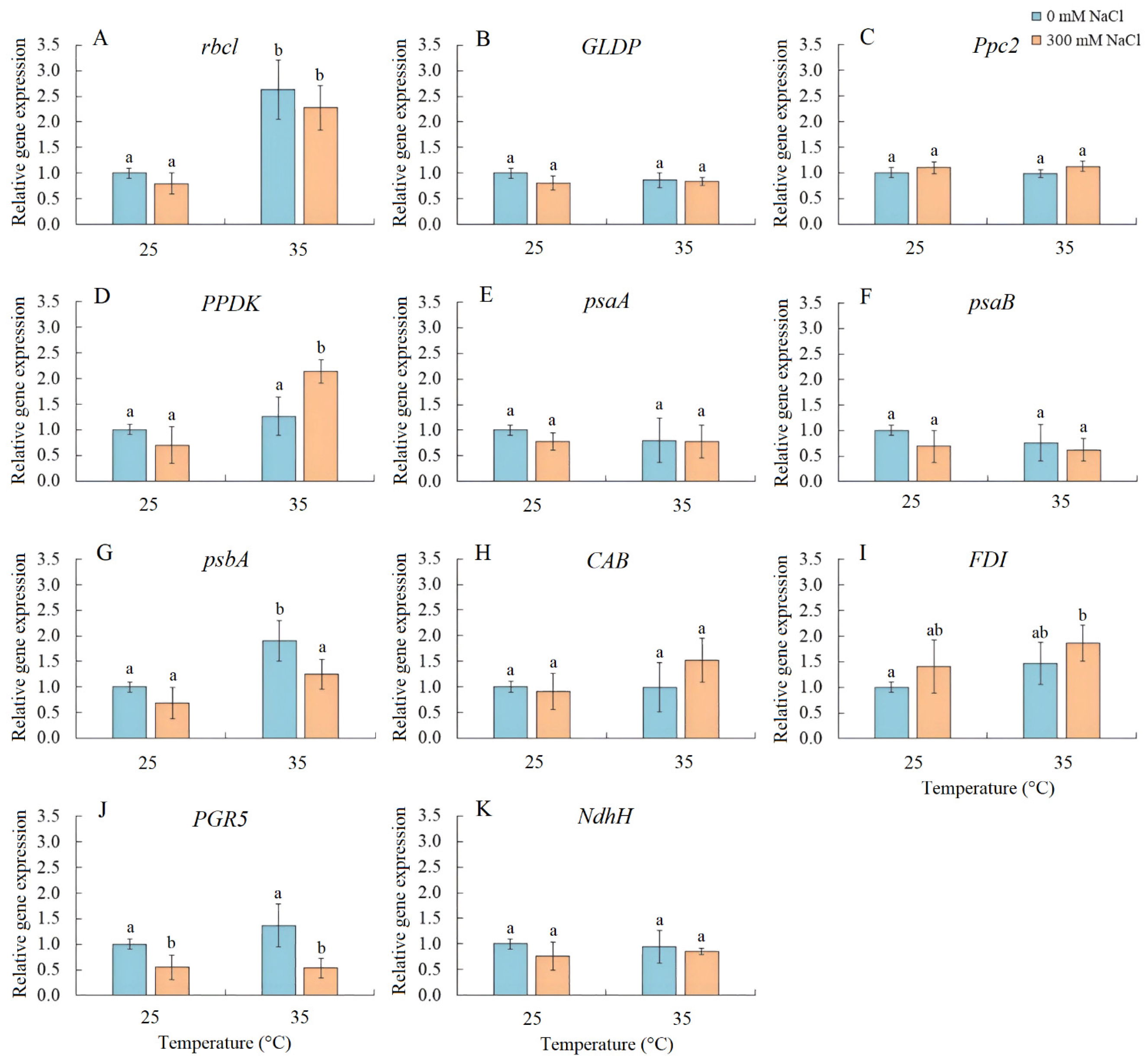Plants 13 00800 g005 Plants 13 00800 g005