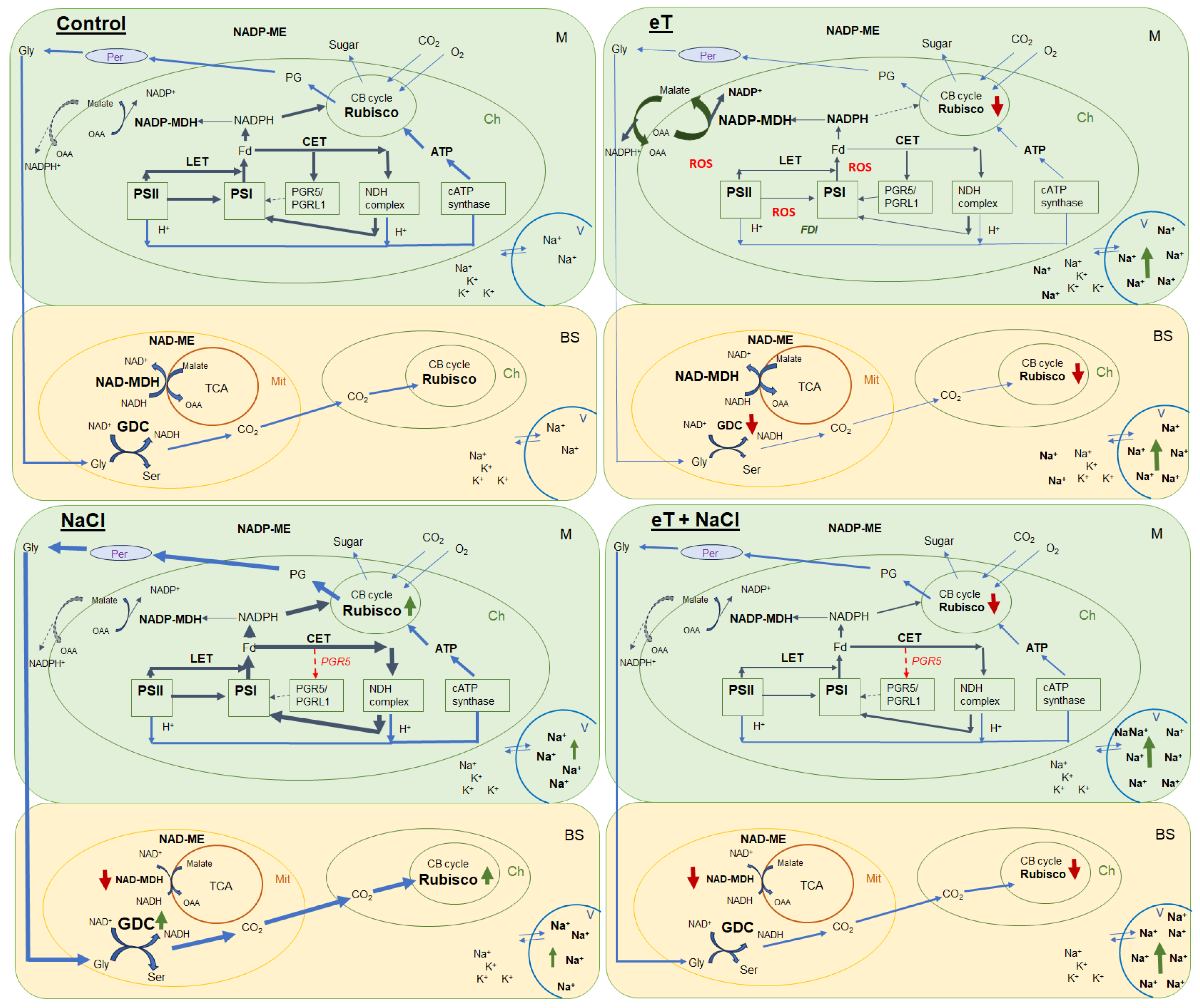 Plants 13 00800 g009 Plants 13 00800 g009