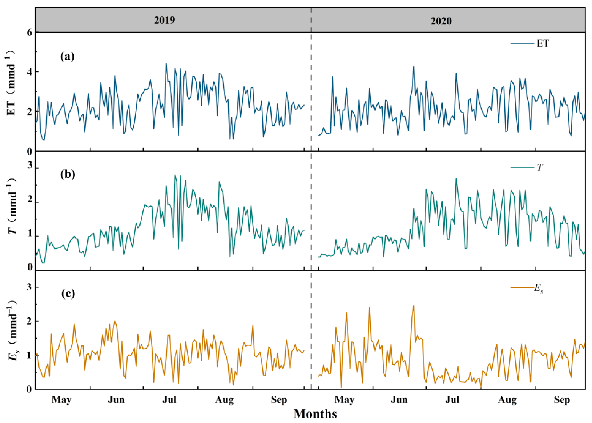 Plants 13 00801 g004 Plants 13 00801 g004